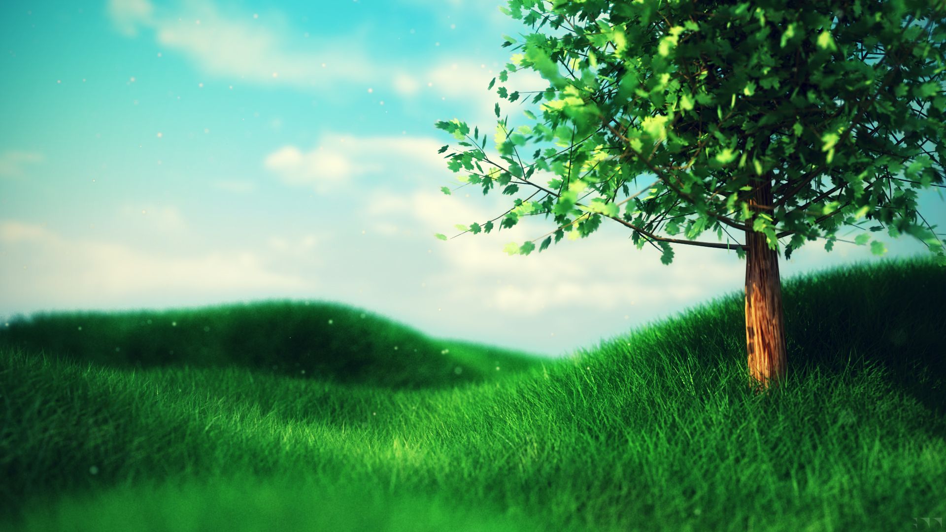 Grassy Field Background