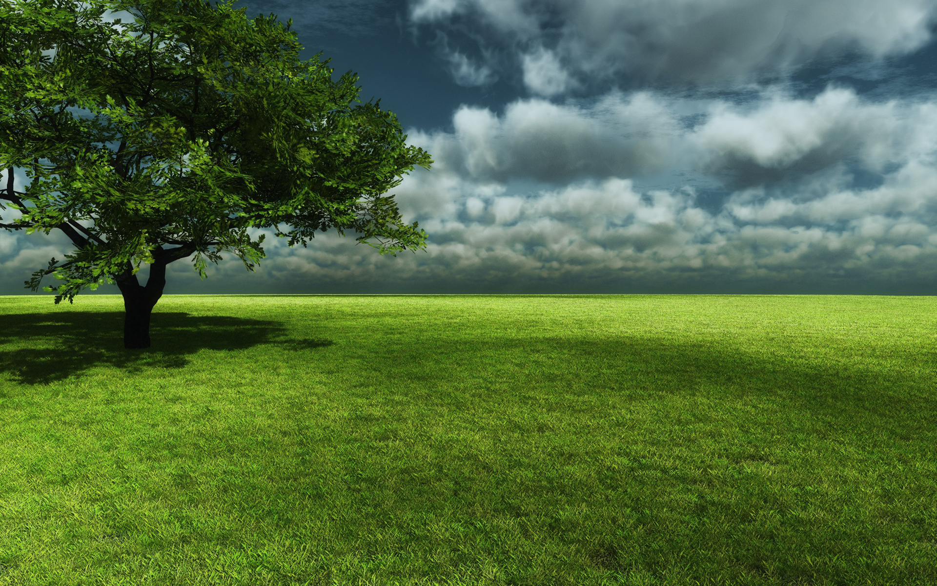 Grassy Field Background