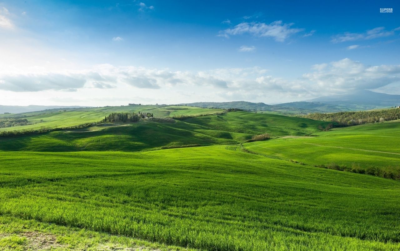 Grassy Hill Background