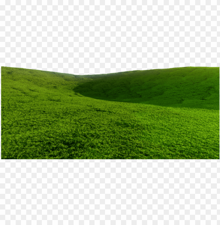 Grassy Hill Background