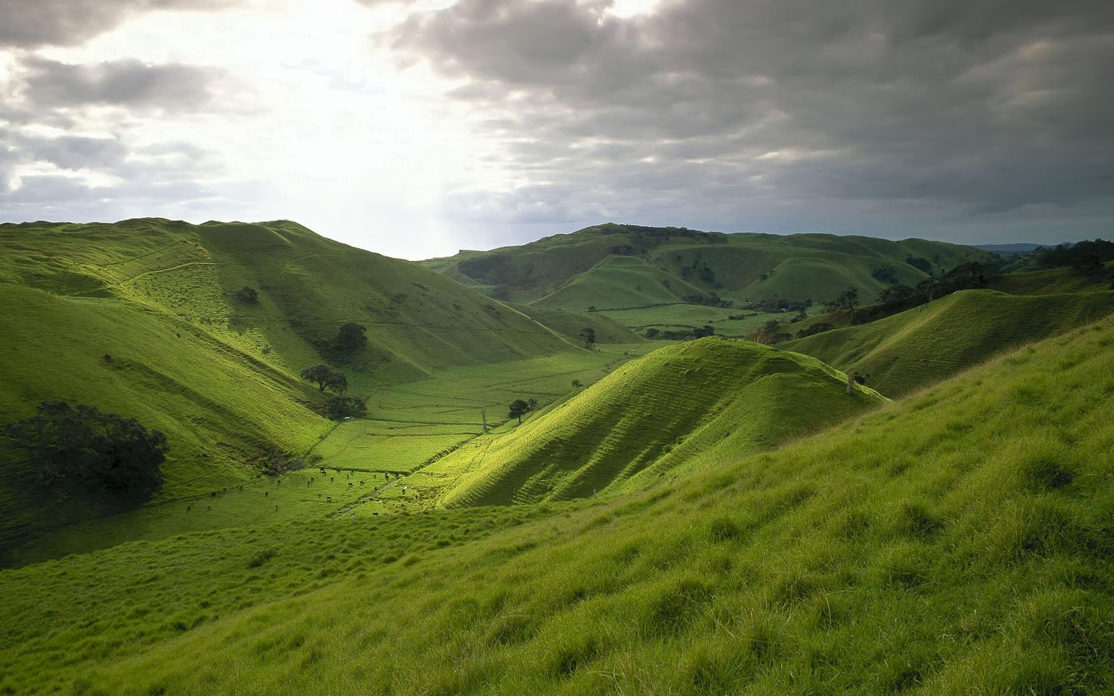 Grassy Hill Background