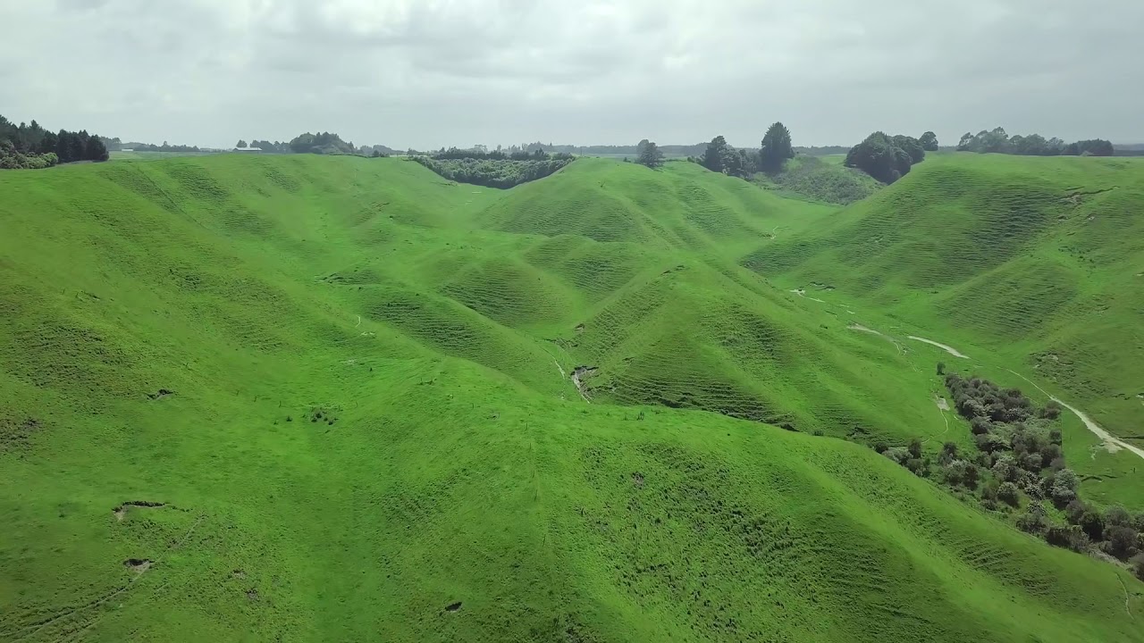 Grassy Hill Background