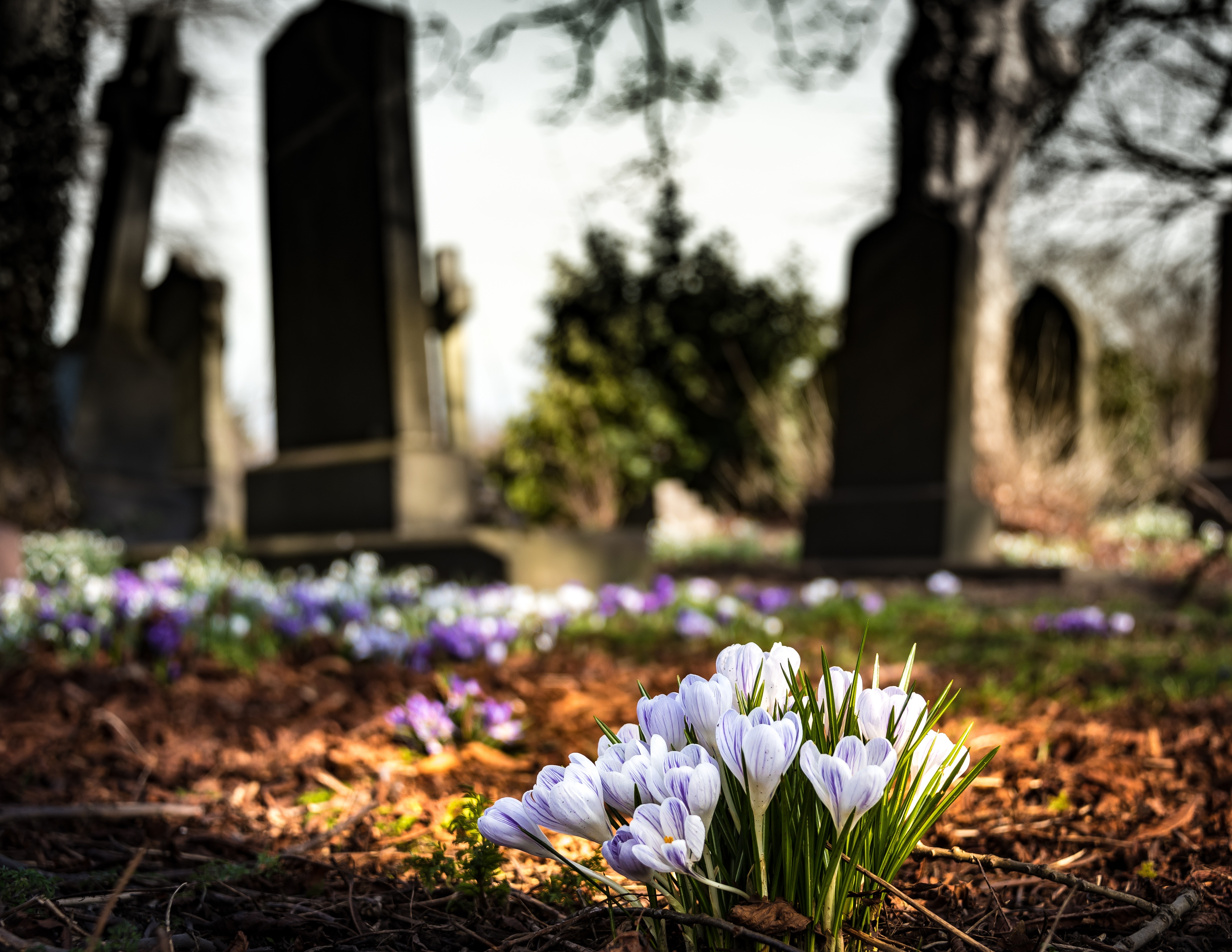 Graveyard Background