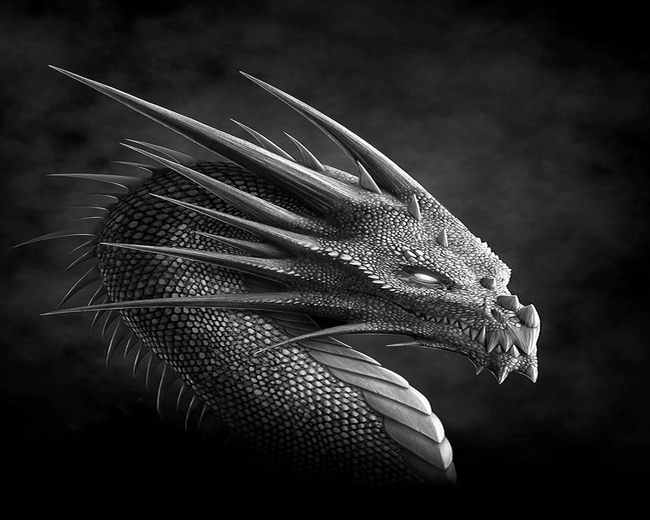 Gray Dragons Wallpapers