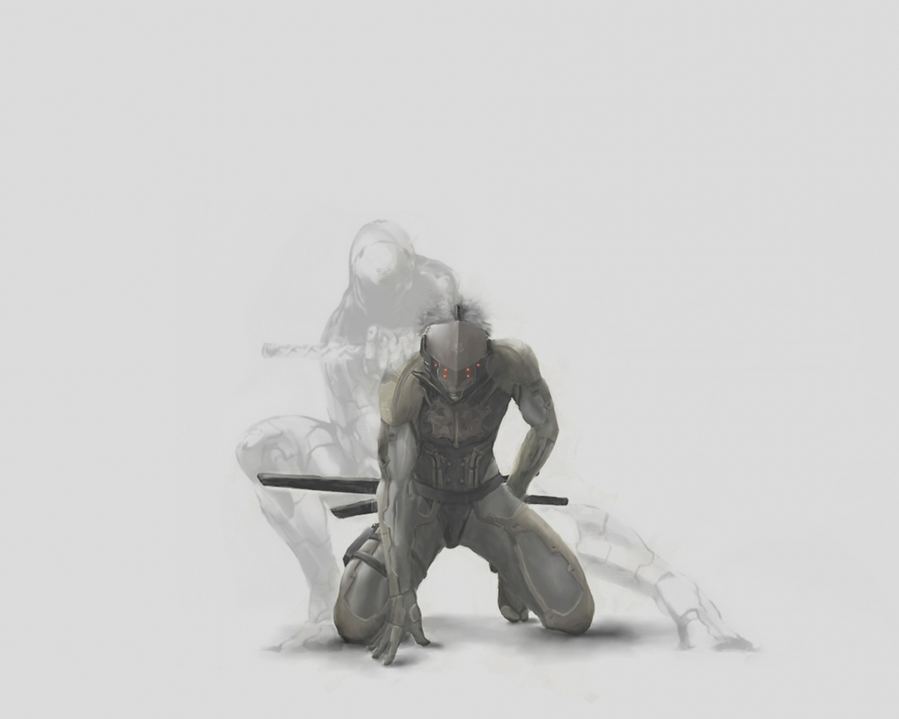 Gray Fox Wallpapers