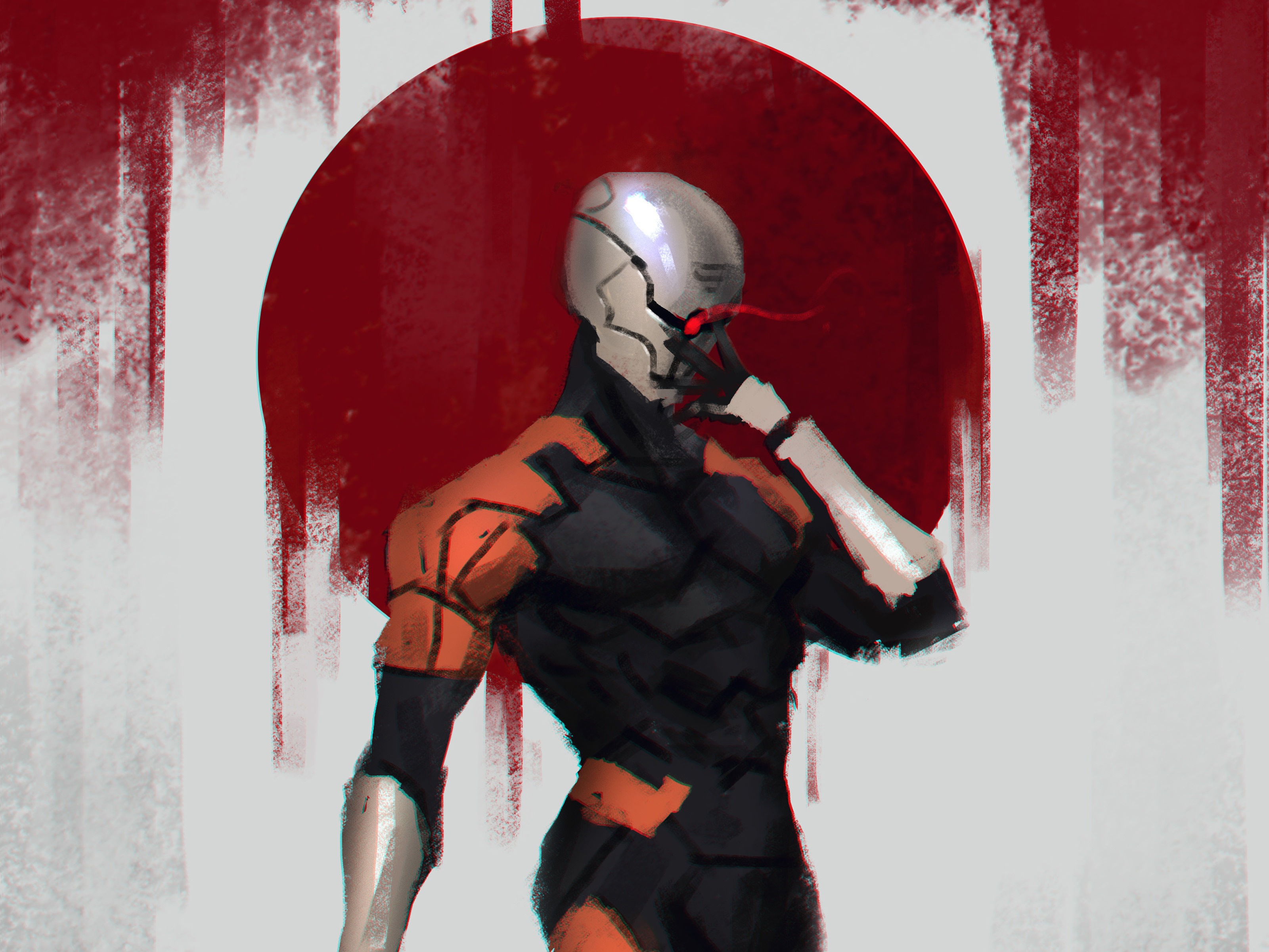 Gray Fox Wallpapers