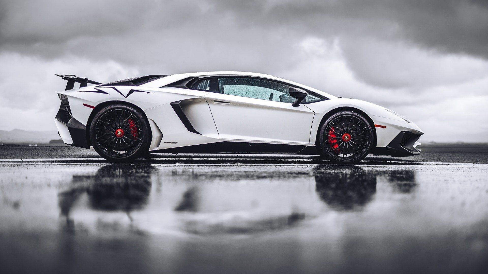 Gray Lambo Wallpapers