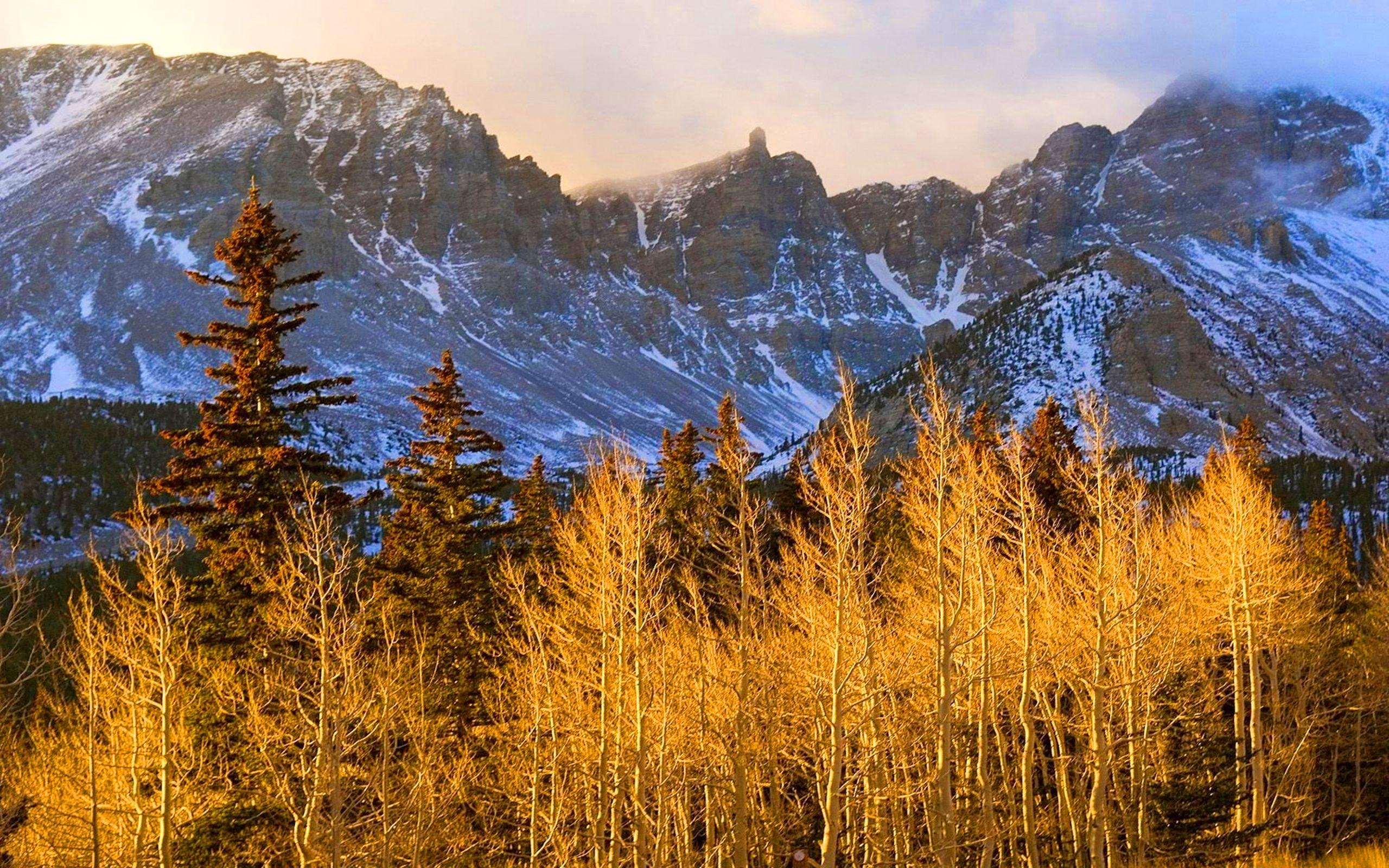 Great Basin National Park Wallpapers