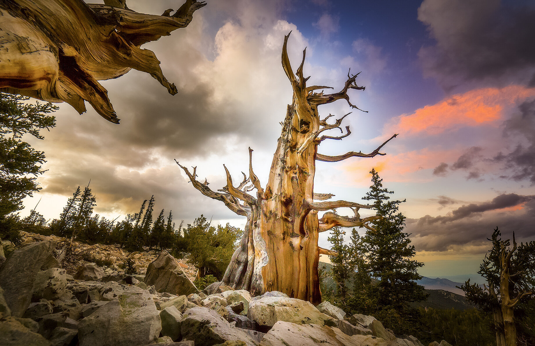 Great Basin National Park Wallpapers