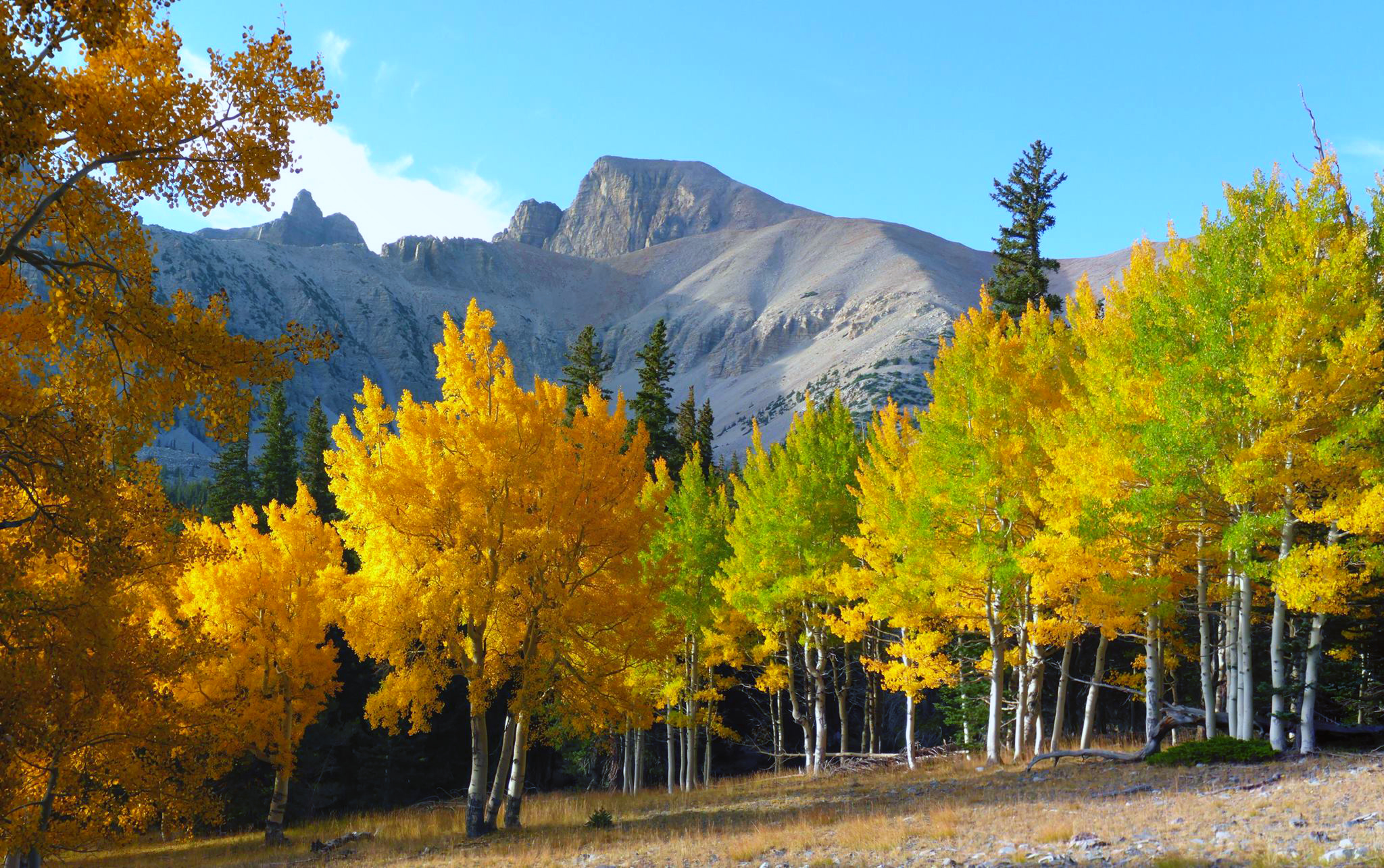 Great Basin National Park Wallpapers