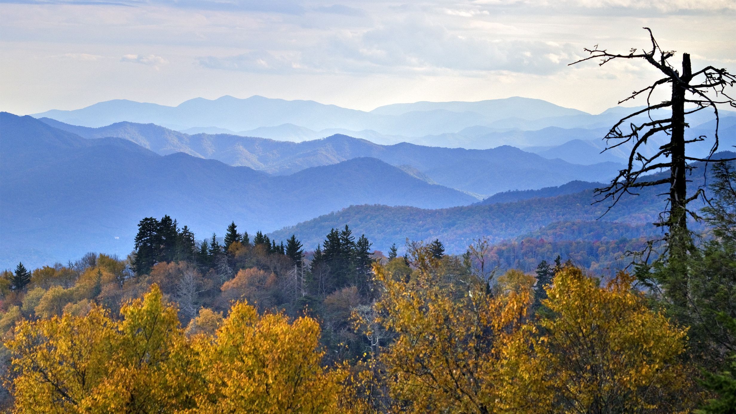 Great Smoky Mountains National Park Wallpapers