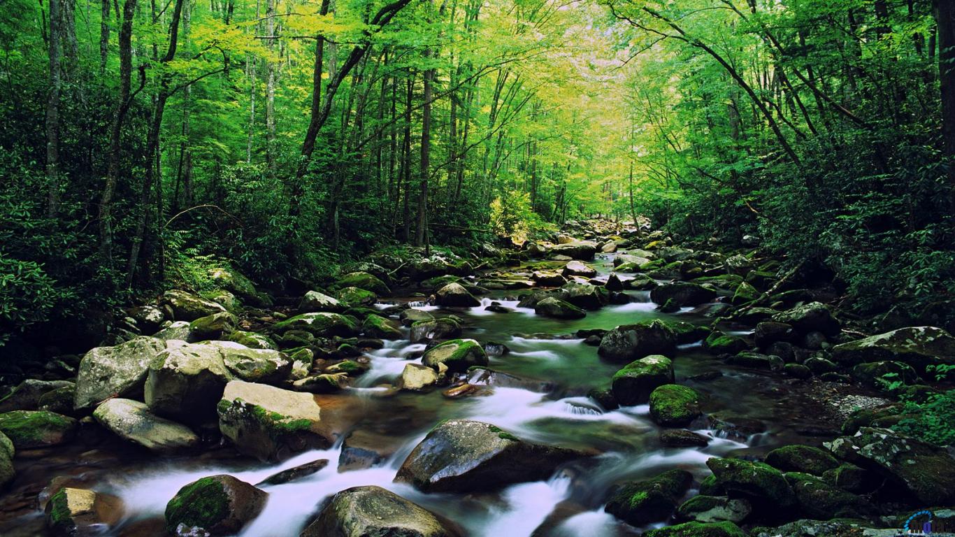 Great Smoky Mountains National Park Wallpapers