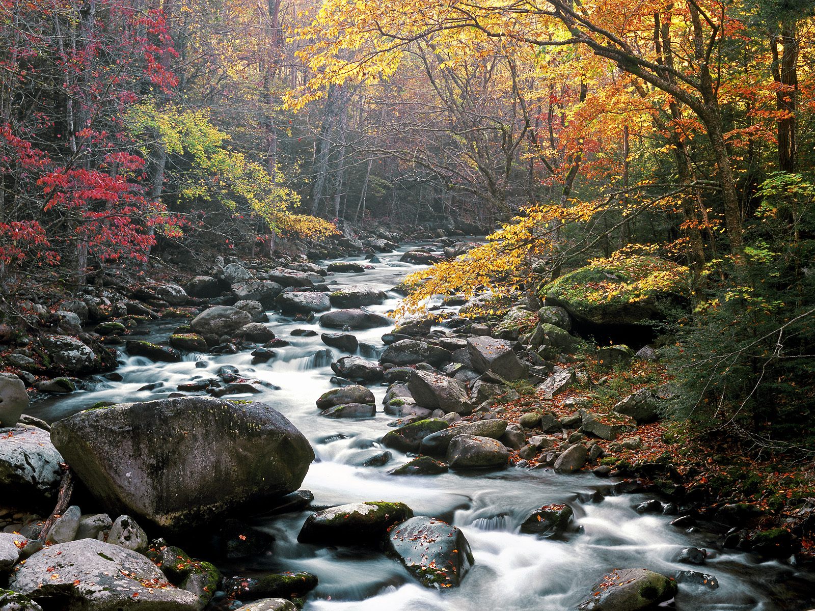 Great Smoky Mountains National Park Wallpapers