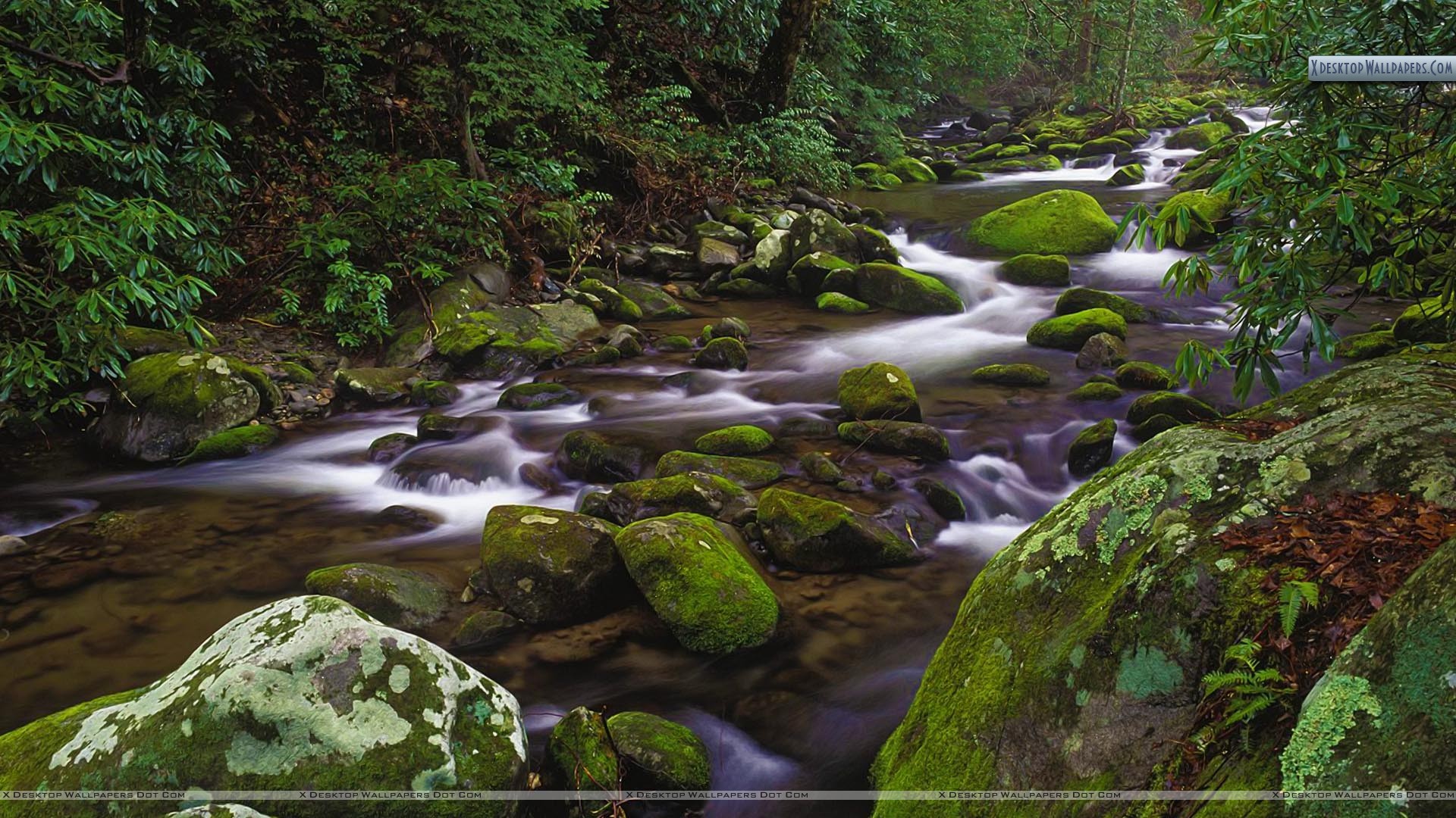 Great Smoky Mountains National Park Wallpapers