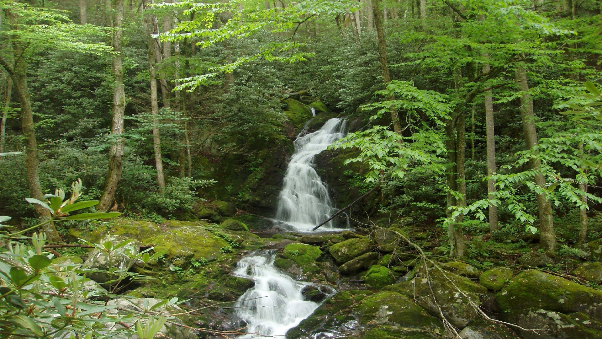 Great Smoky Mountains National Park Wallpapers