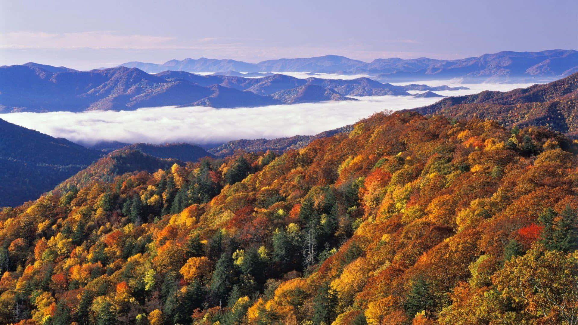 Great Smoky Mountains National Park Wallpapers