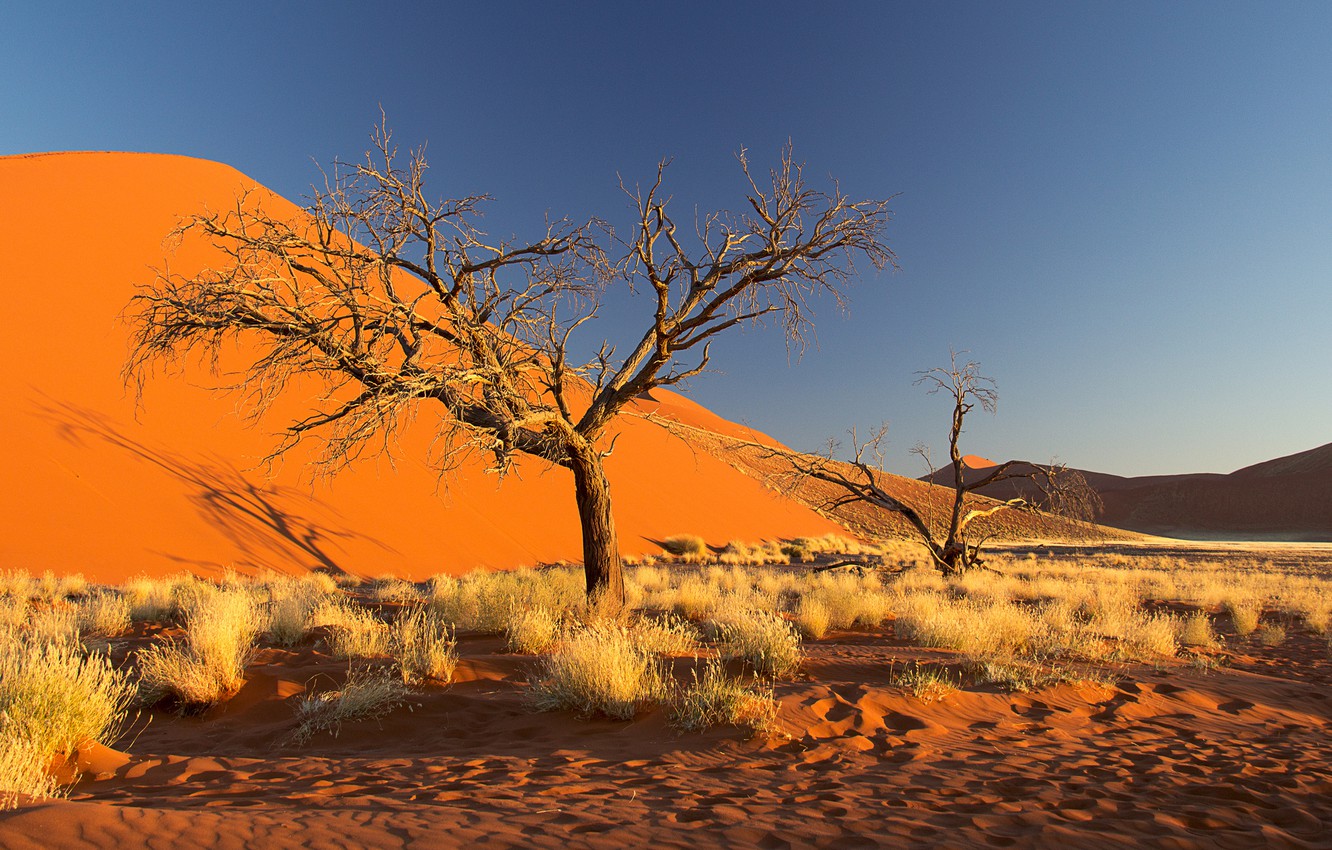 Great Wall Of Namib Wallpapers