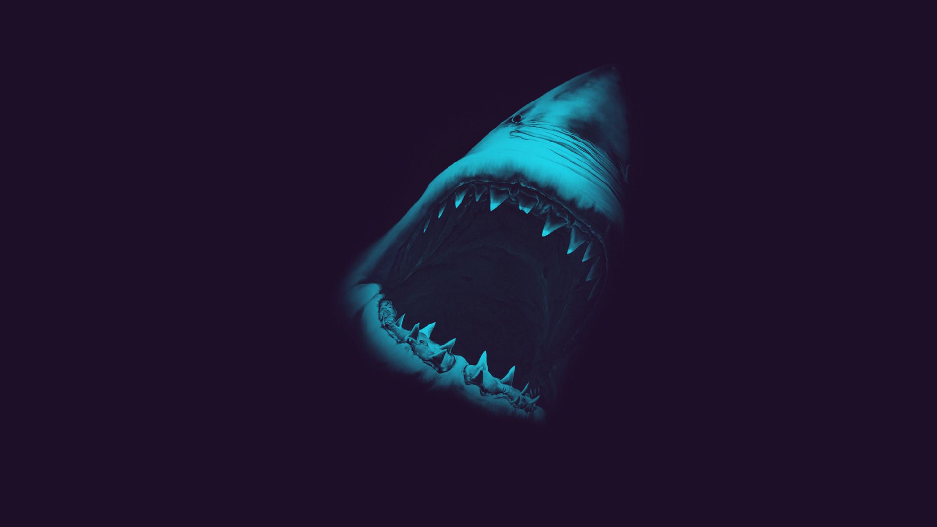 Great White Shark Iphone Wallpapers