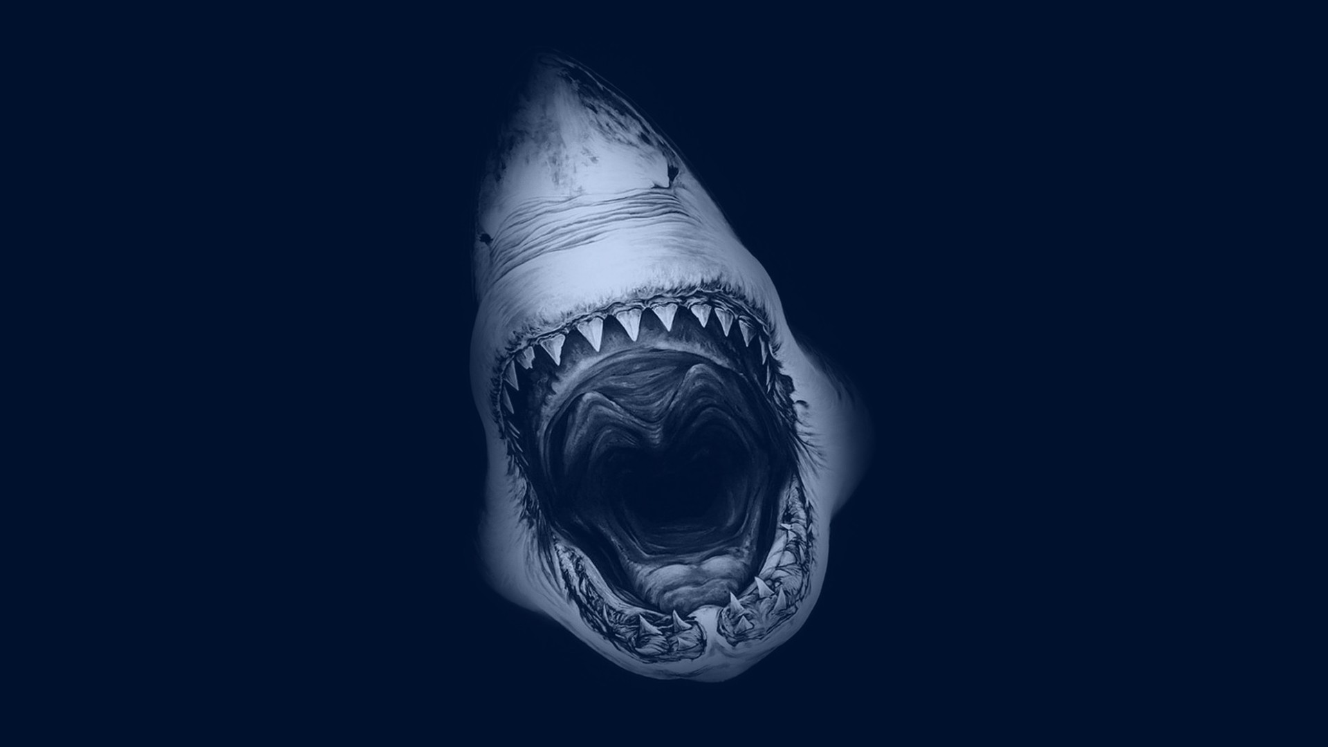 Great White Wallpapers