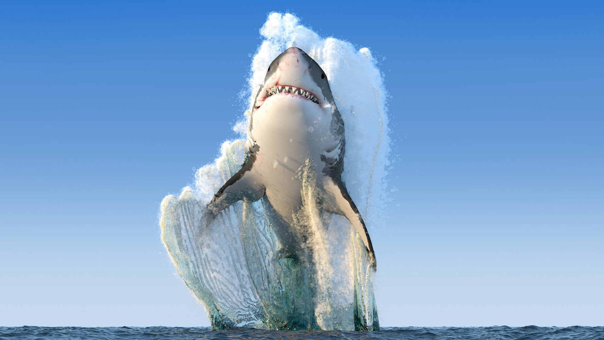 Great White Wallpapers