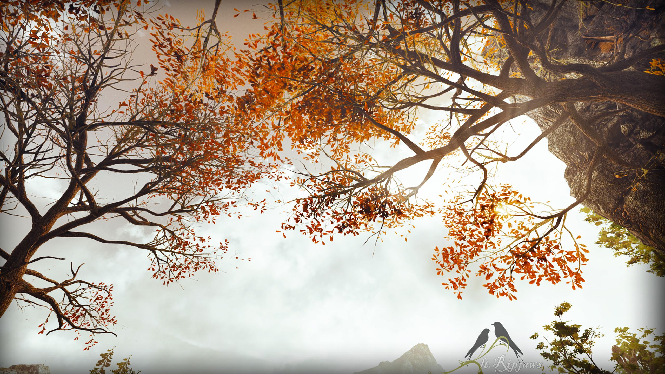 GreedFall Wallpapers