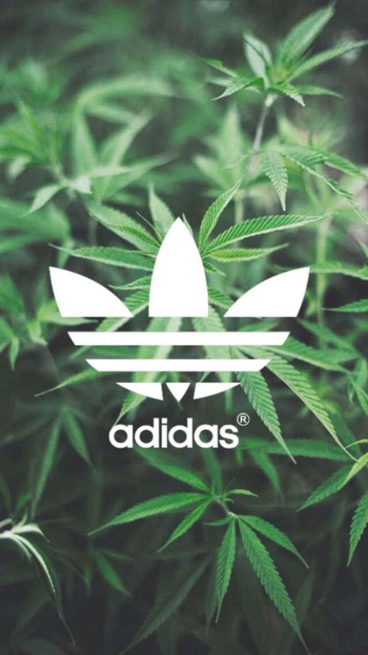 Green Adidas Logo Wallpapers