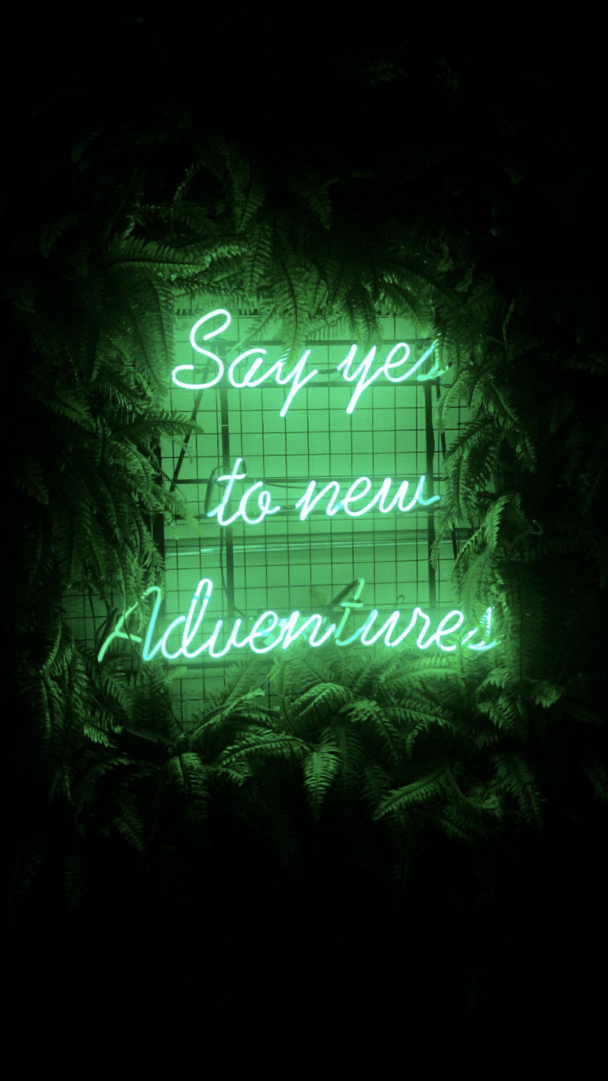 Green Aesthetic Quotes Wallpapers