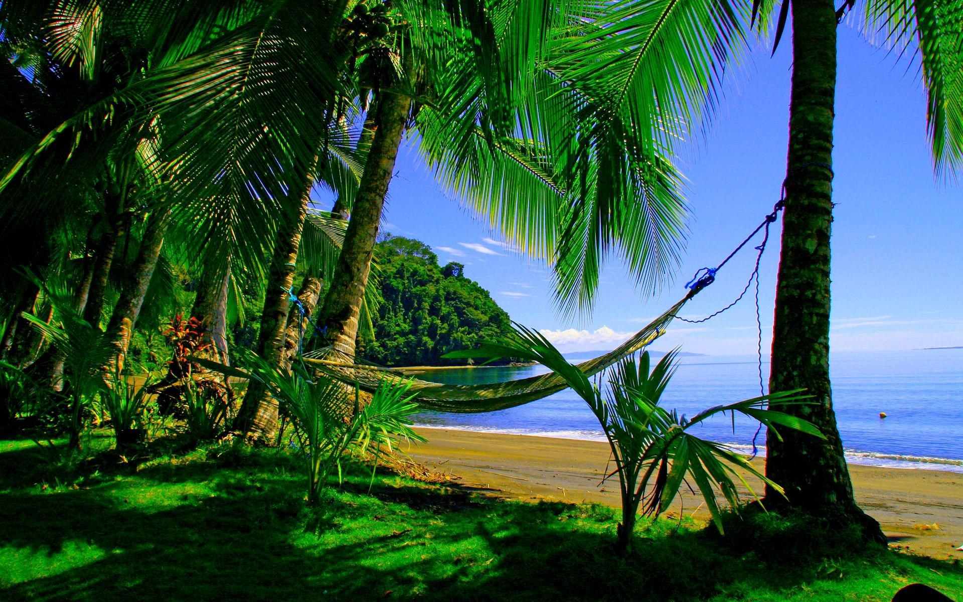 Green Beach Wallpapers