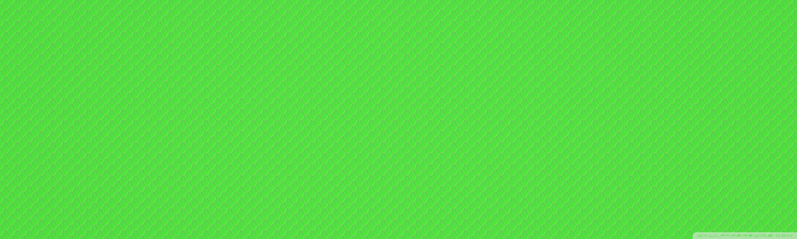 Green Blank Wallpapers