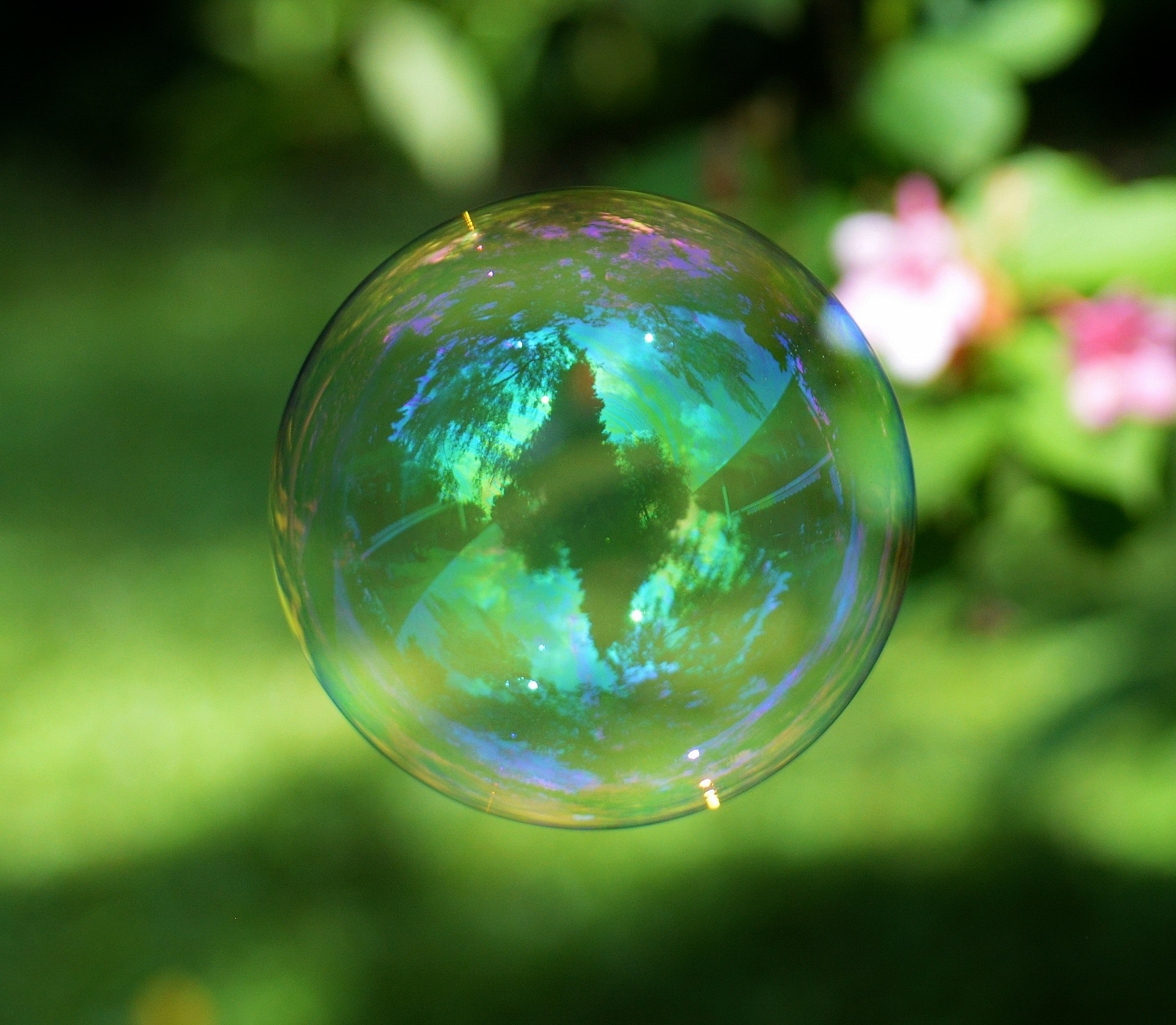 Green Bubbles Wallpapers