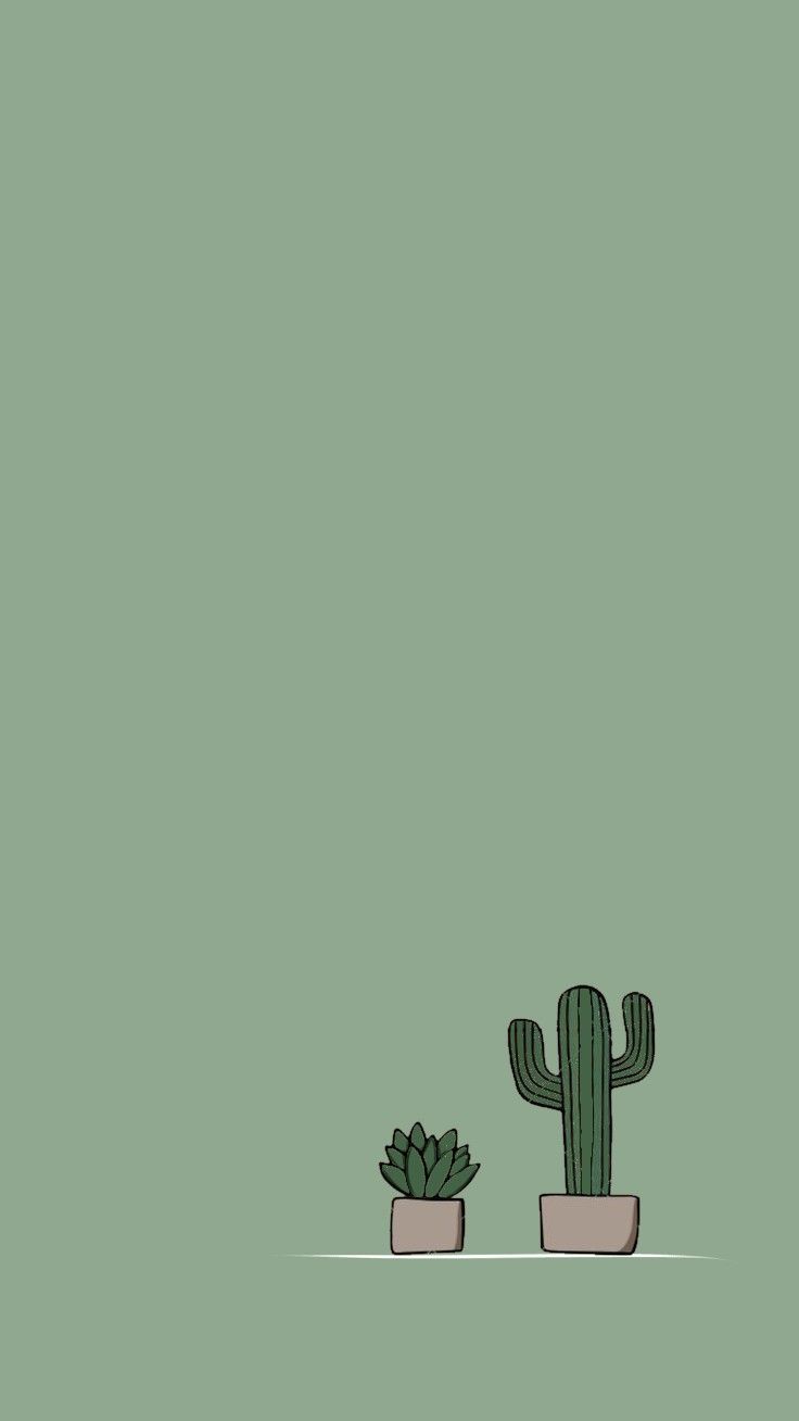 Green Cactus Wallpapers