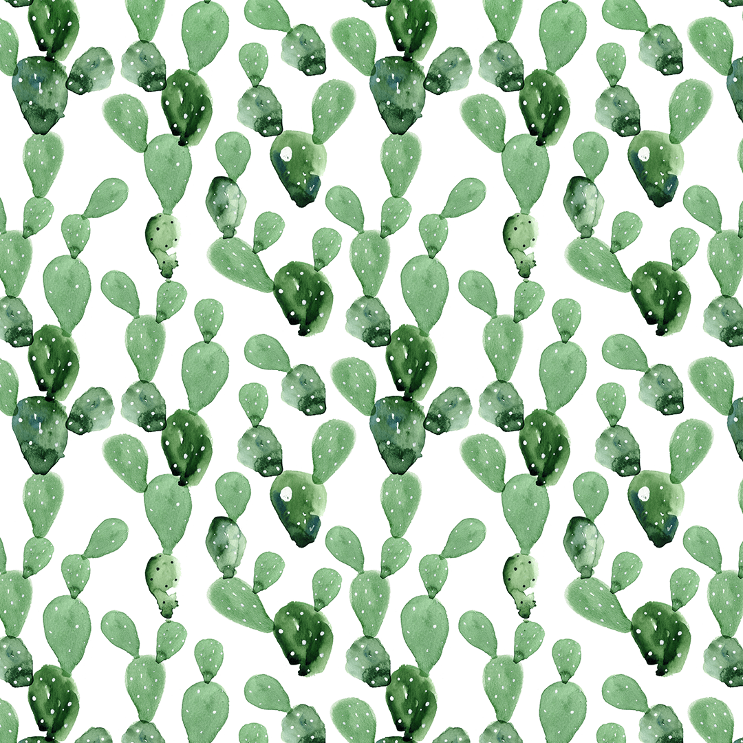 Green Cactus Wallpapers