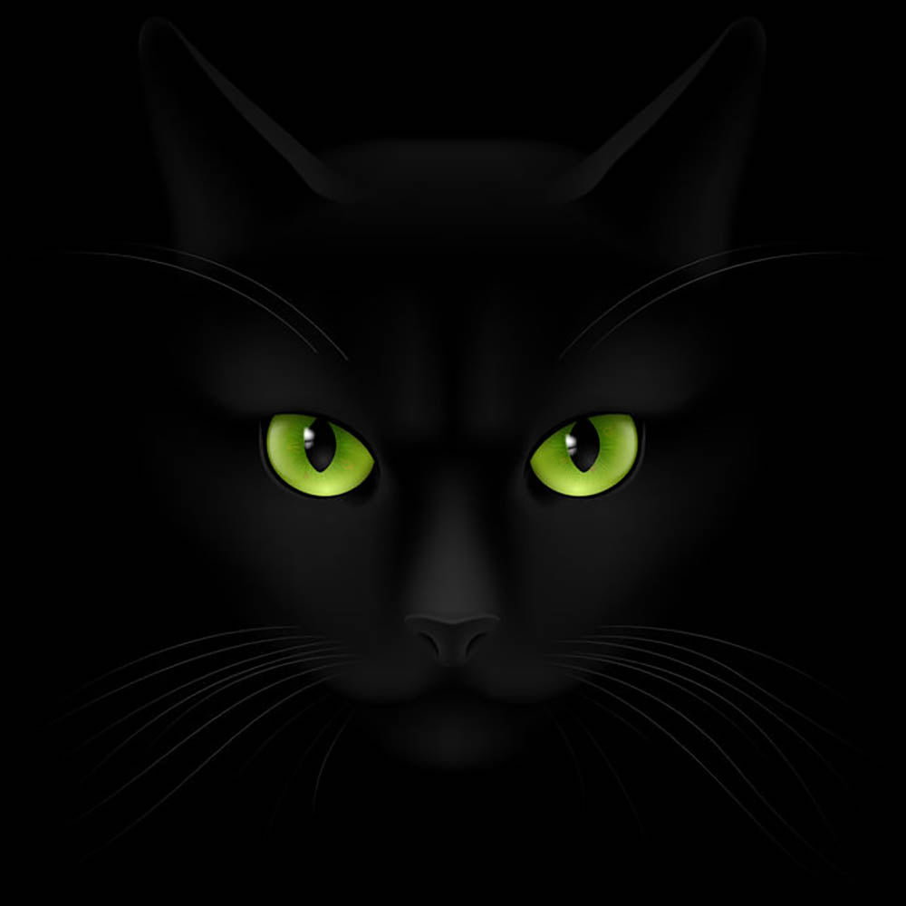 Green Cat Art Wallpapers