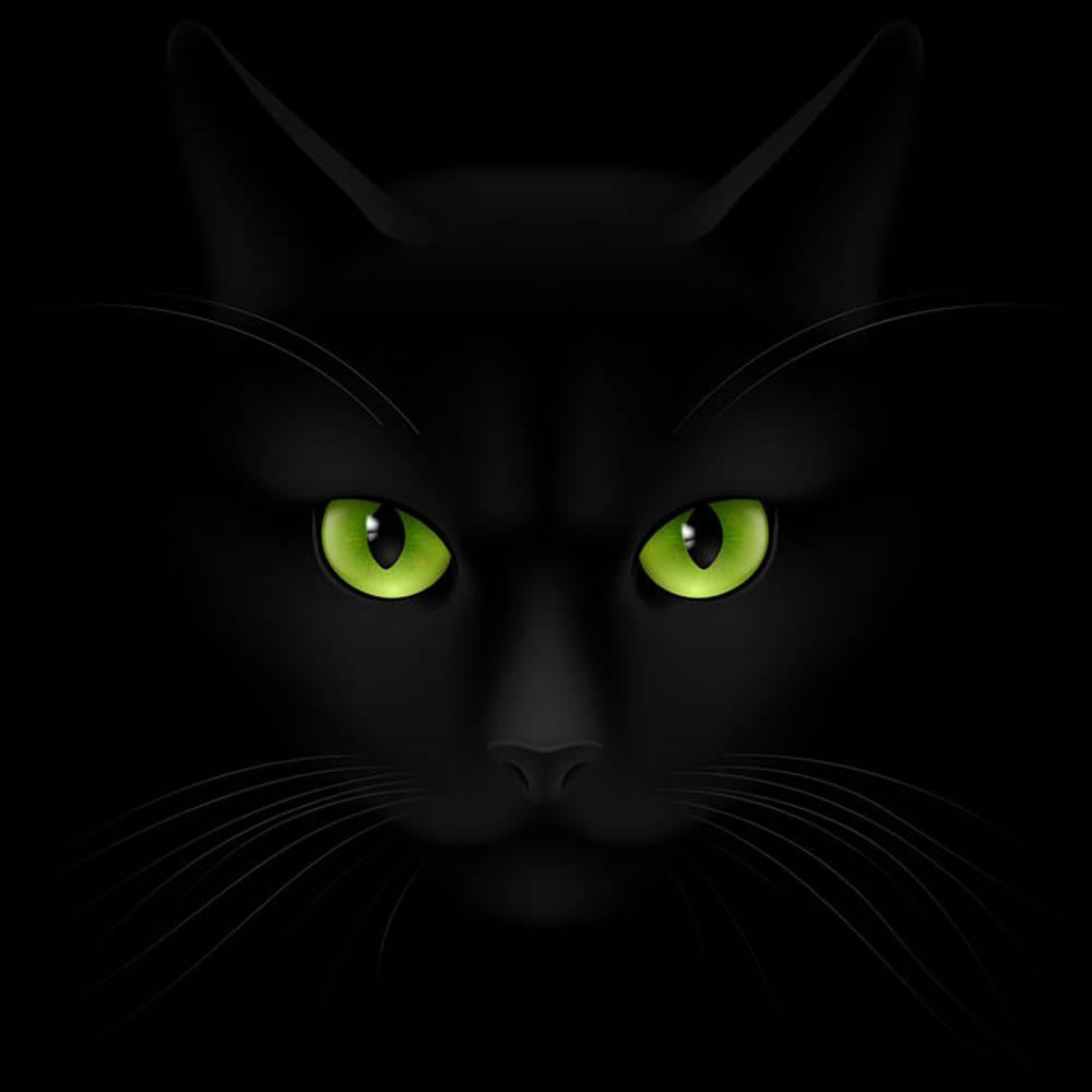 Green Cat Art Wallpapers