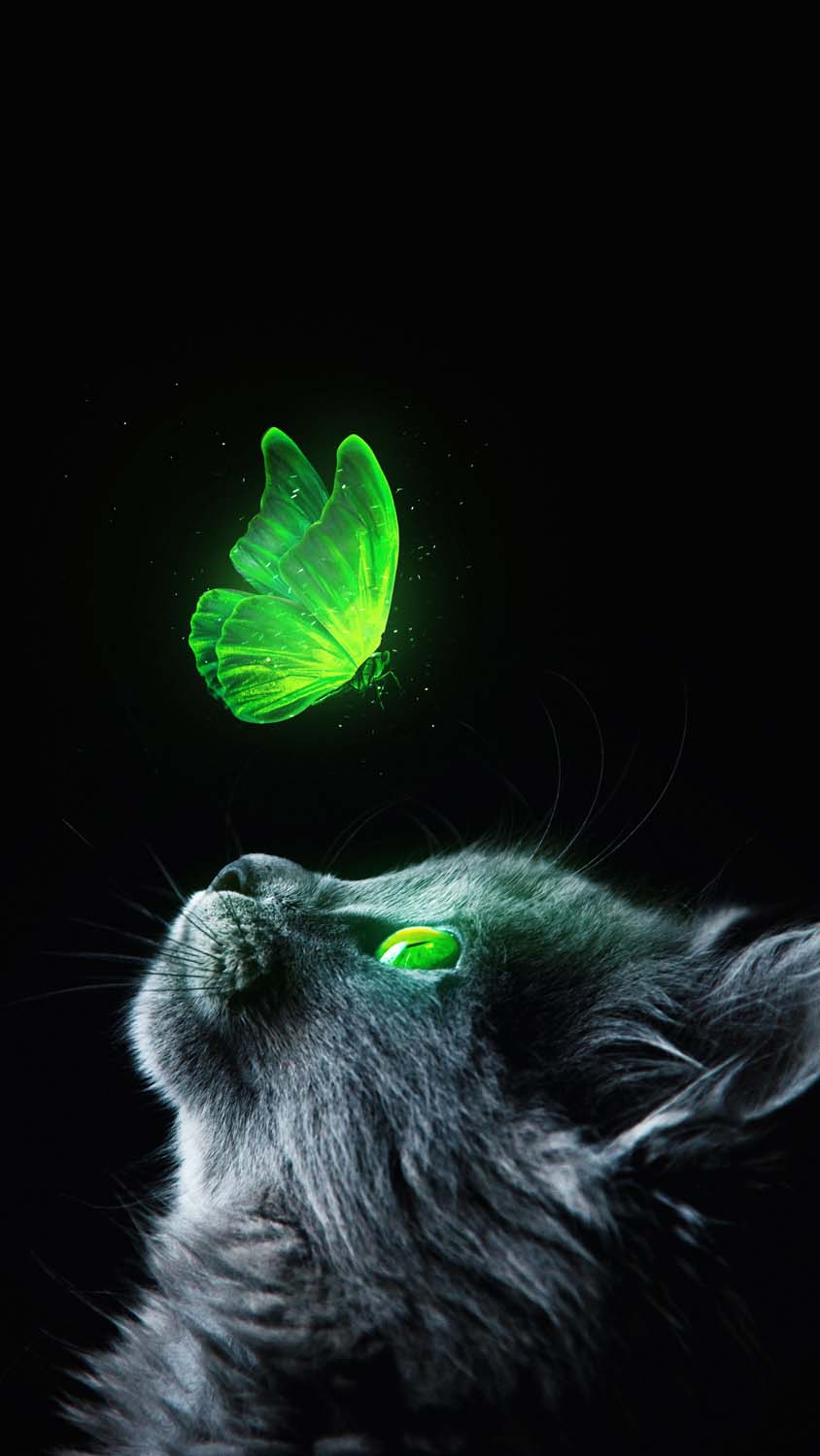 Green Cat Art Wallpapers