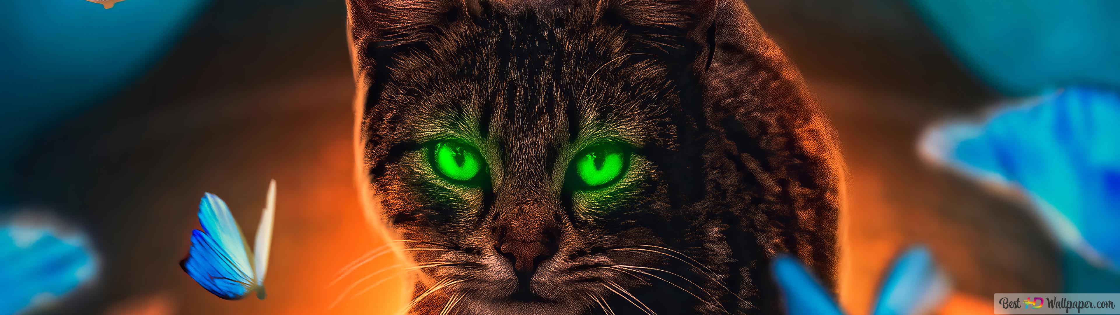 Green Cat Art Wallpapers