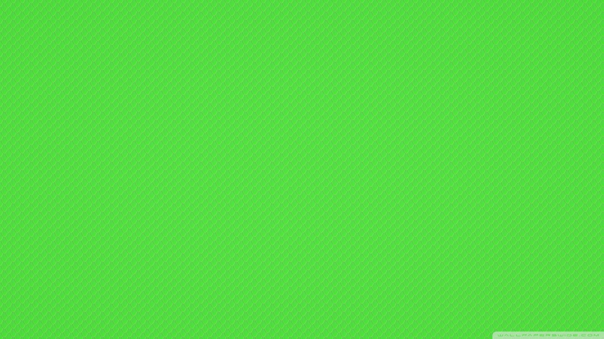 Green Color Images Hd Wallpapers