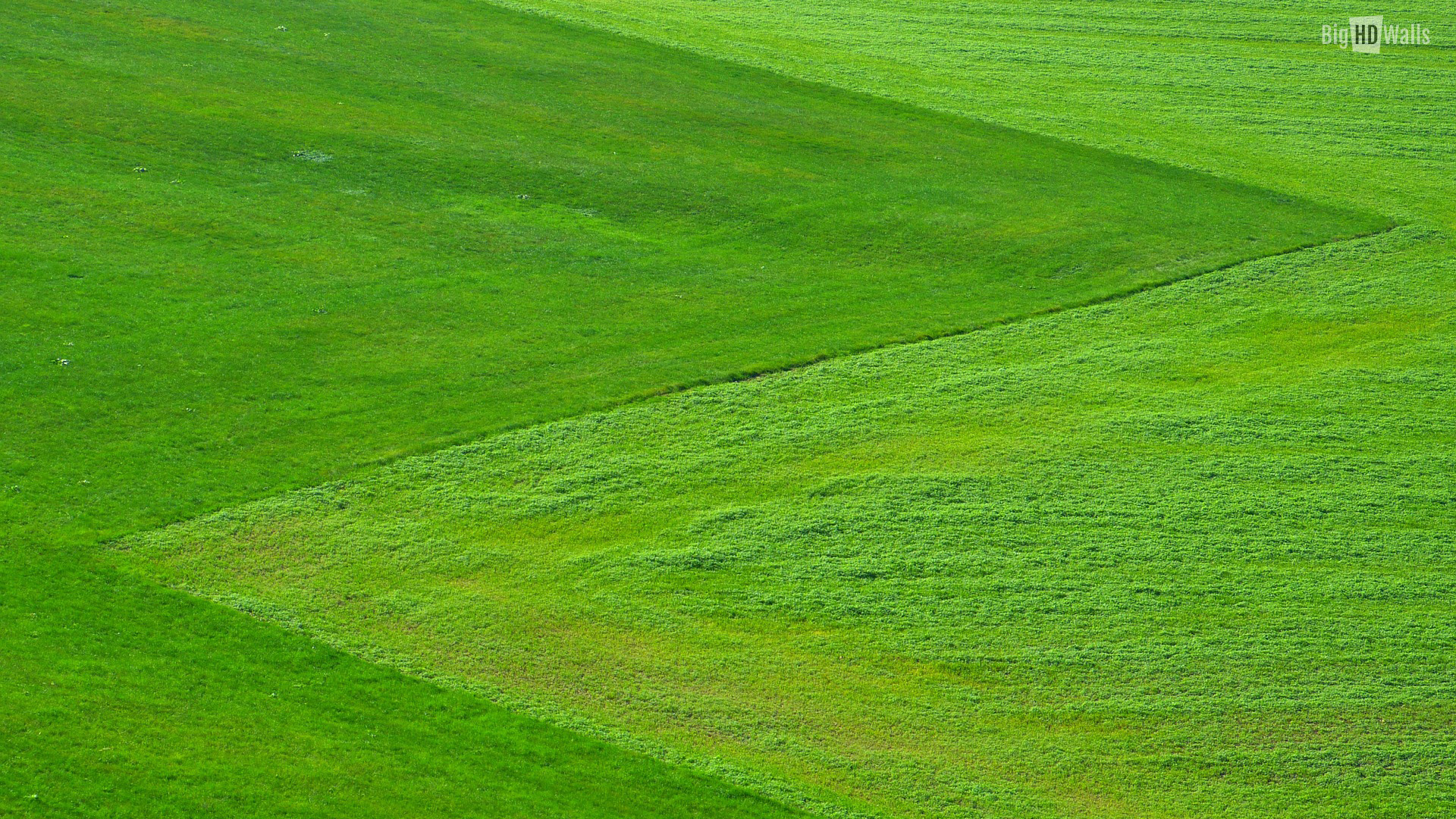Green Field Wallpapers