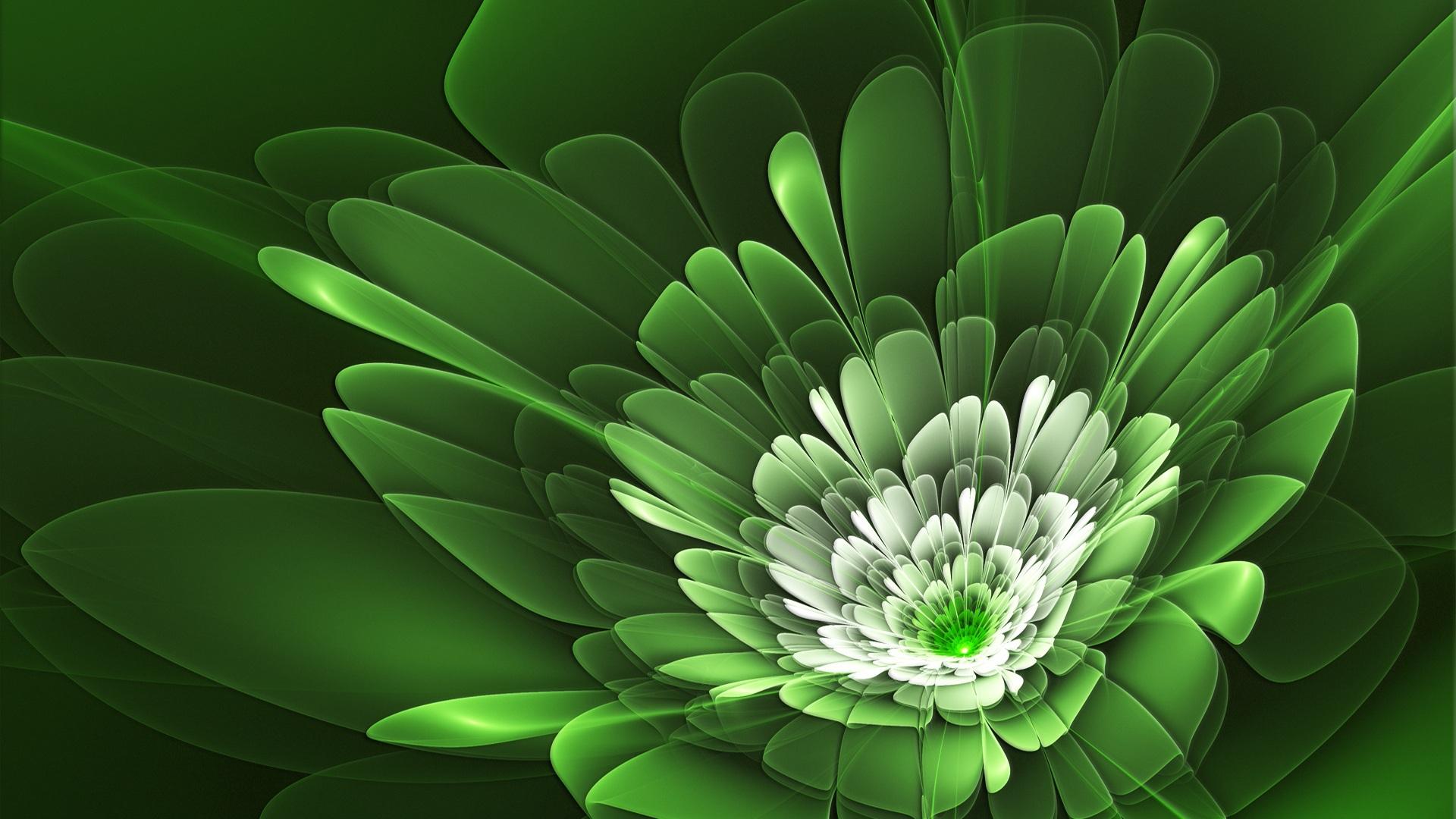 Green Flower Pictures Wallpapers