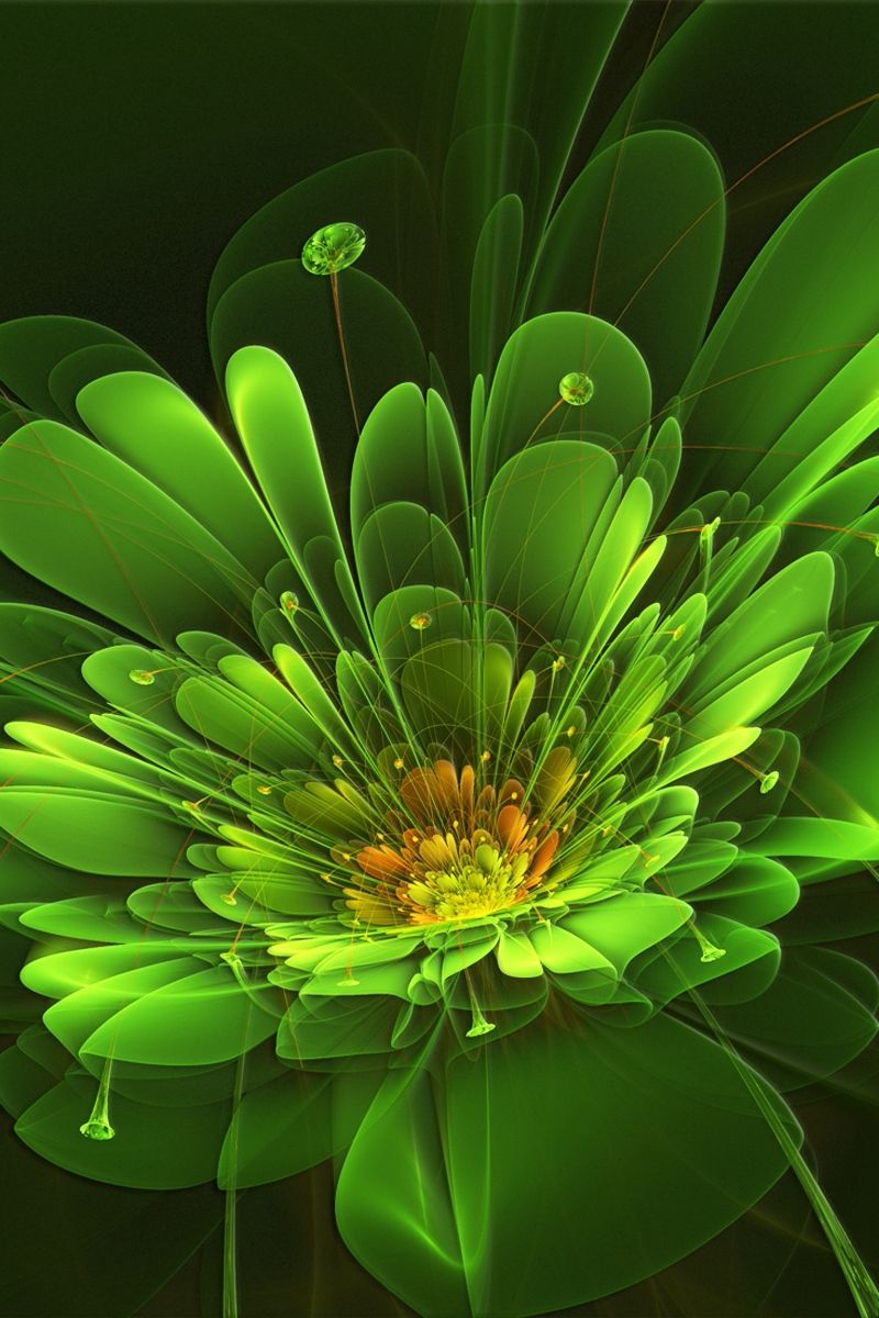 Green Flower Wallpapers