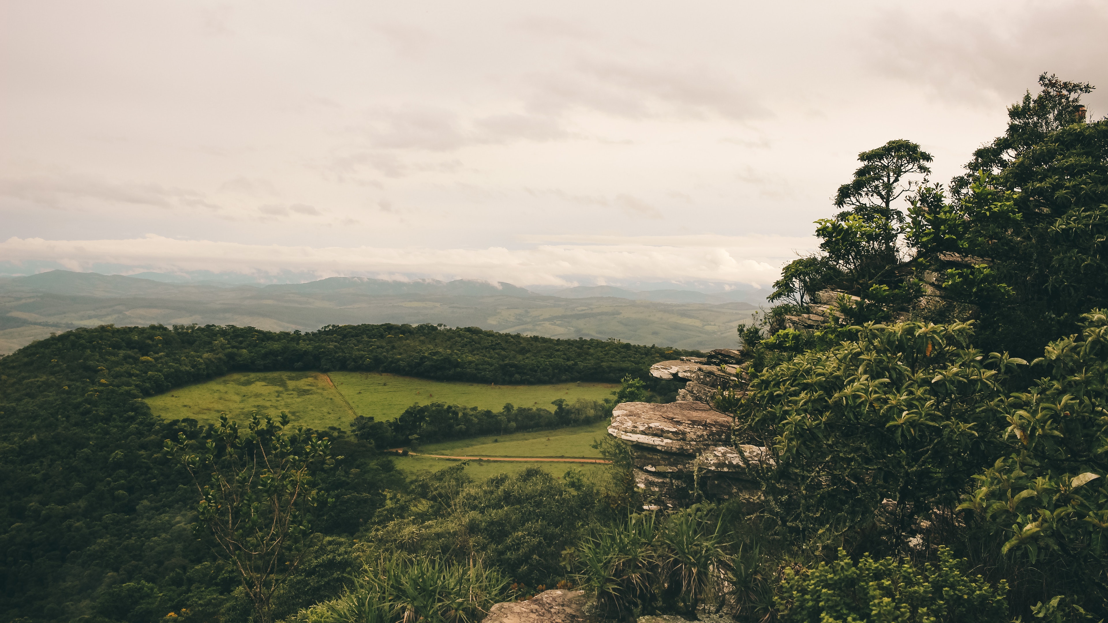 Green Forest Landscape Wallpapers