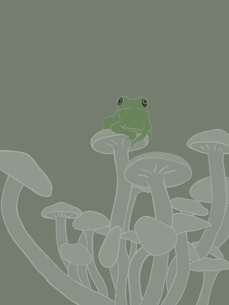 Green Frog Wallpapers