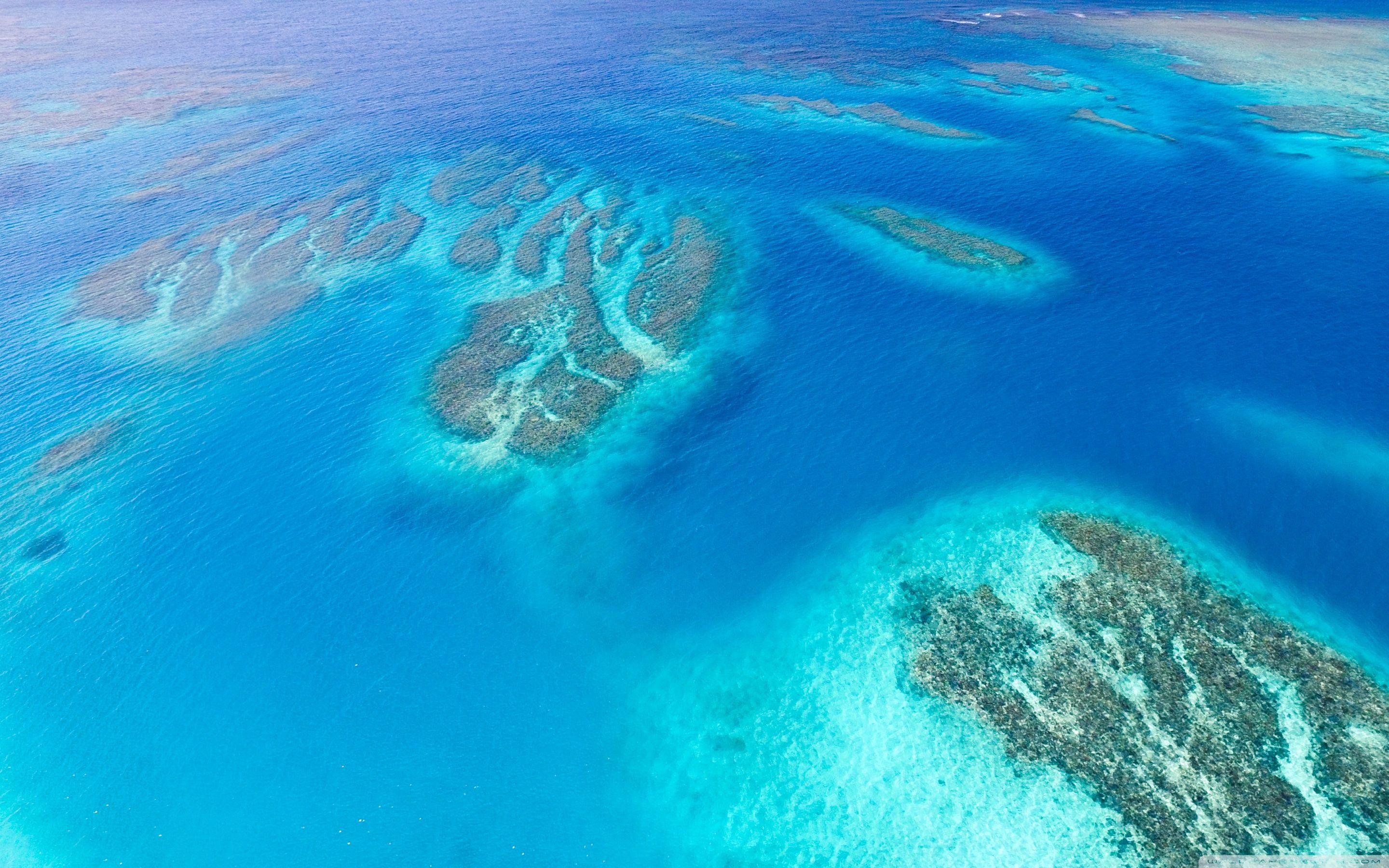 Green Island Drone View Wallpapers