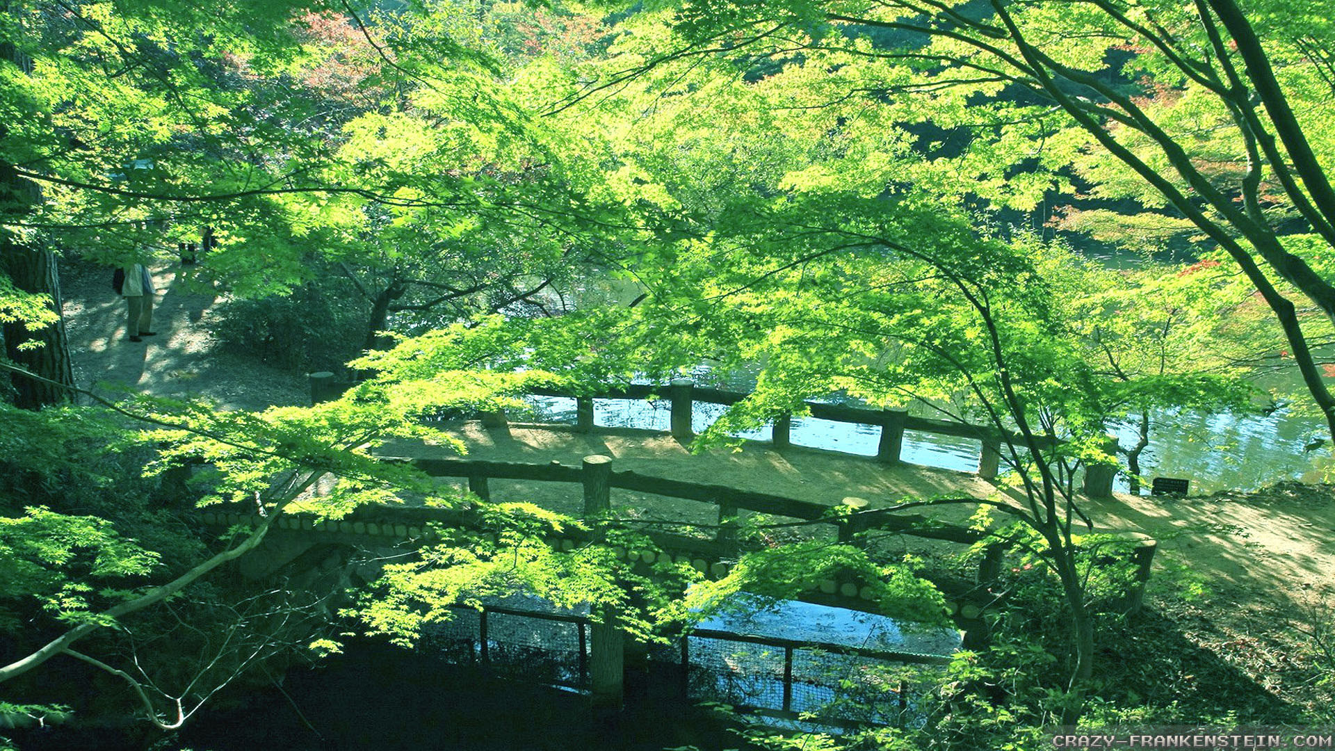 Green Japanese Wallpapers