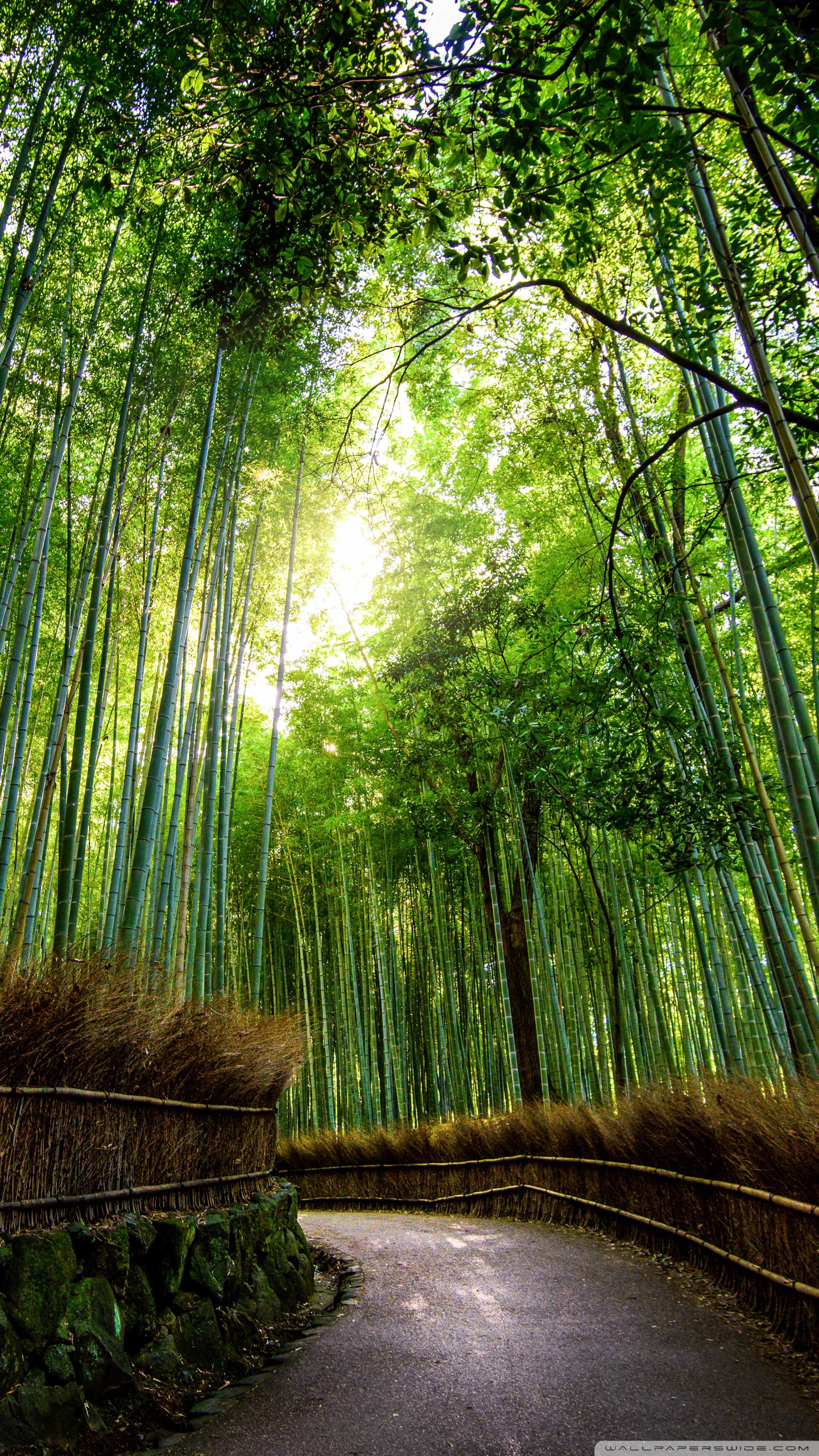 Green Japanese Wallpapers