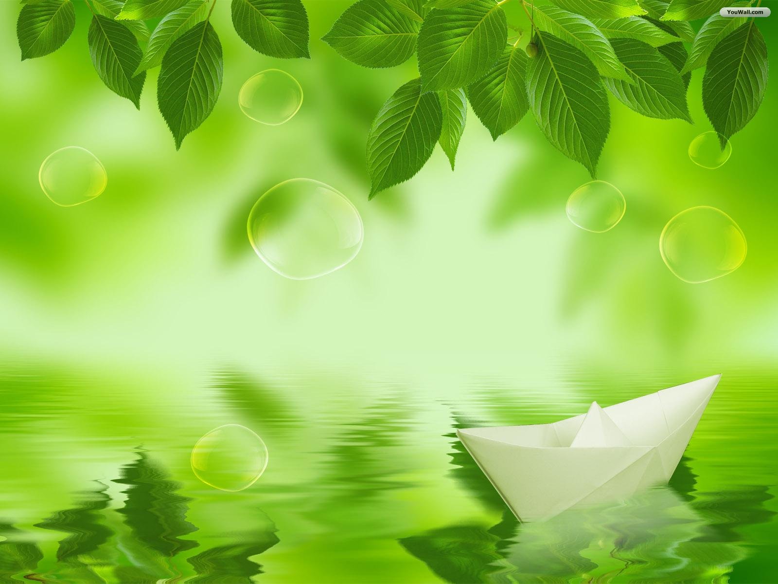 Green Leaf Wallpapers