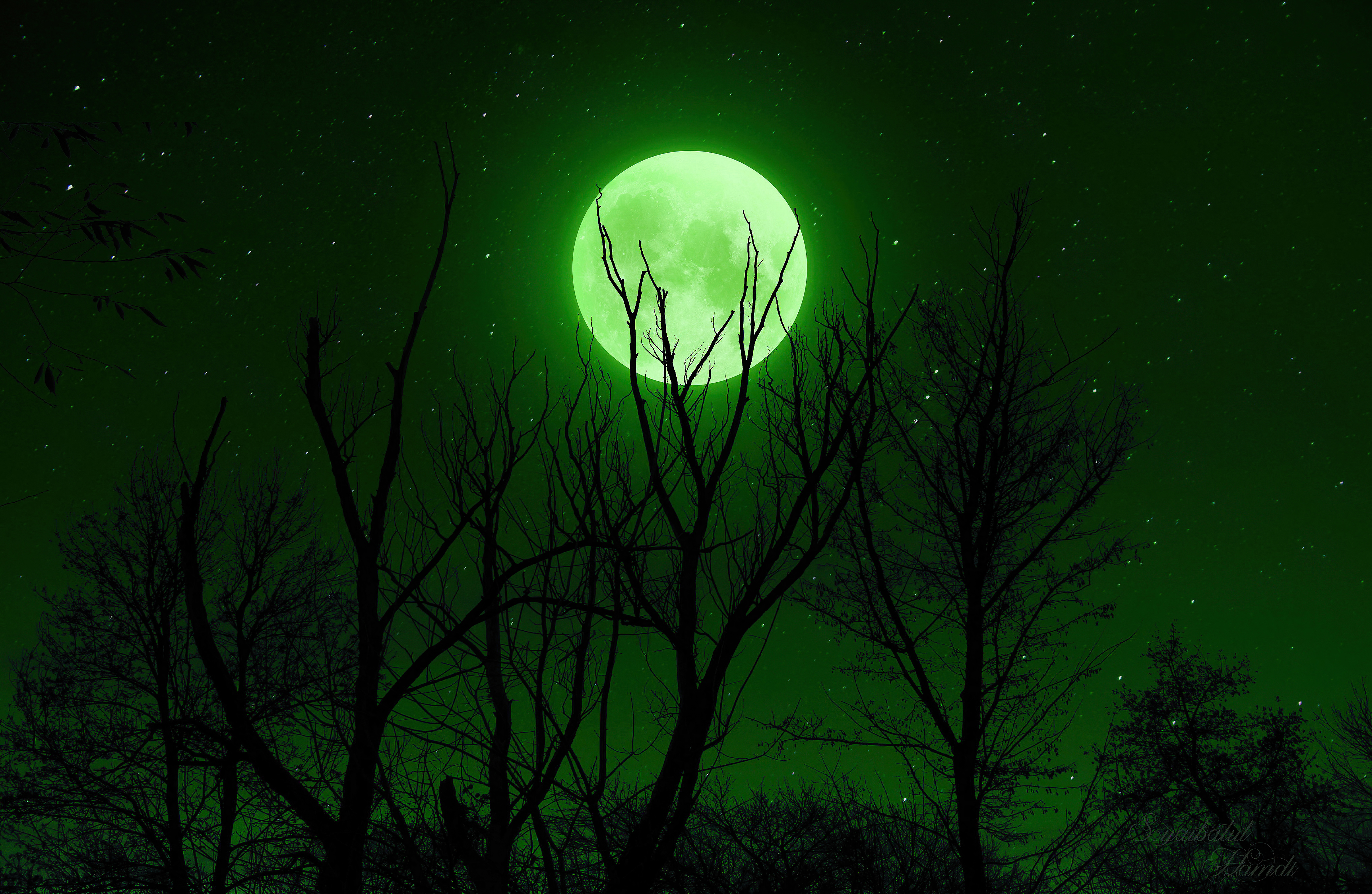 Green Moon Wallpapers