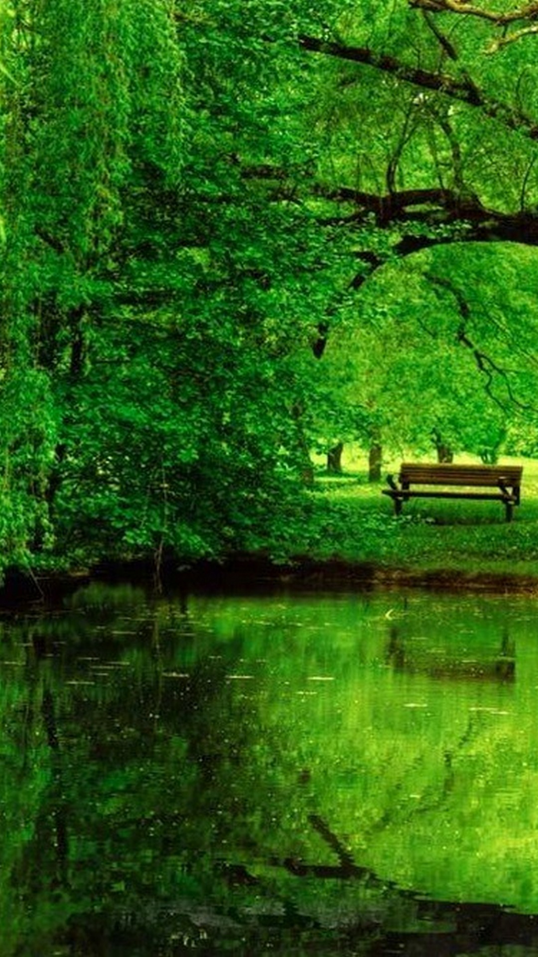Green Nature Wallpapers