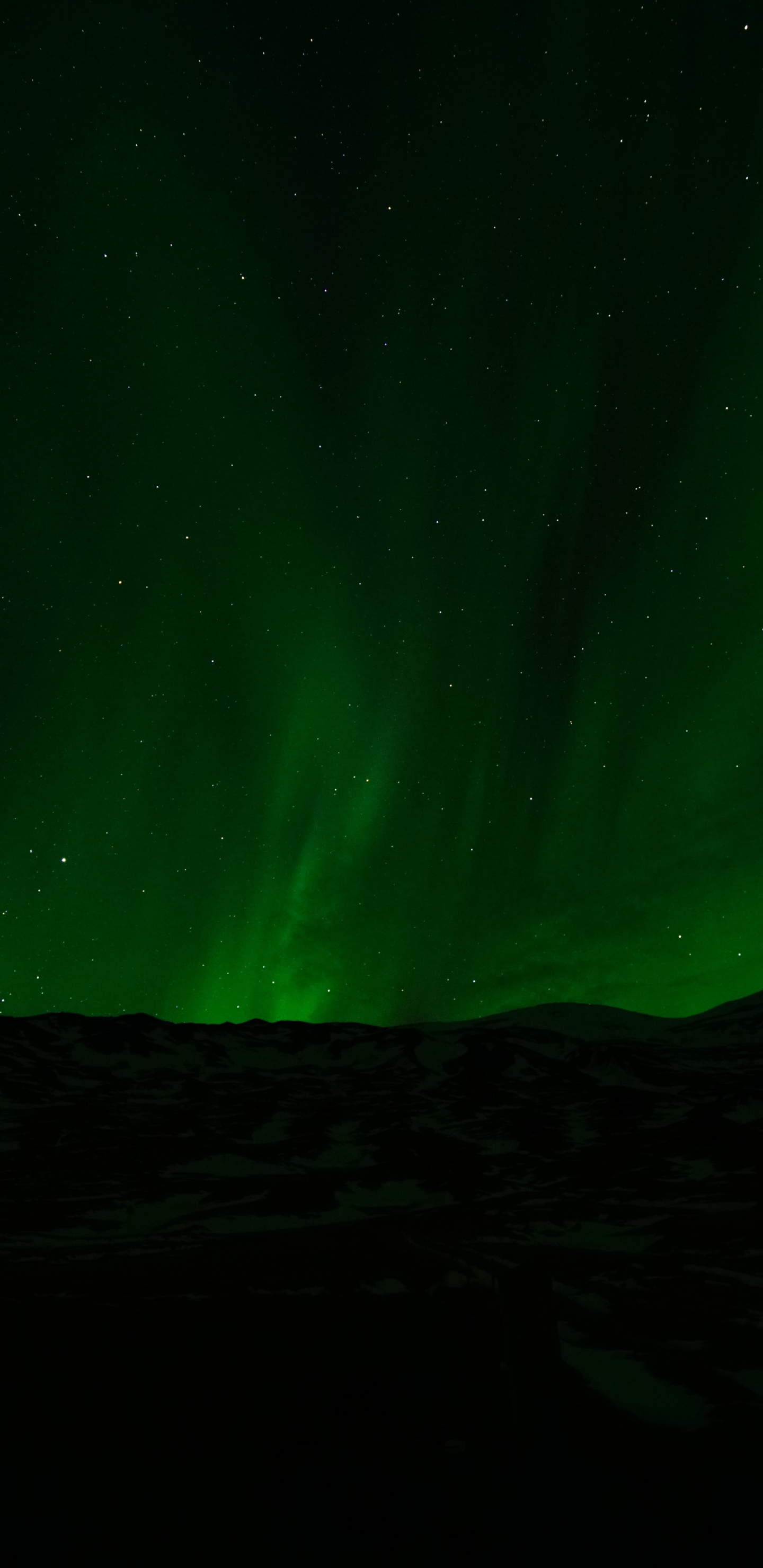 Green Northern Lights Wallpapers