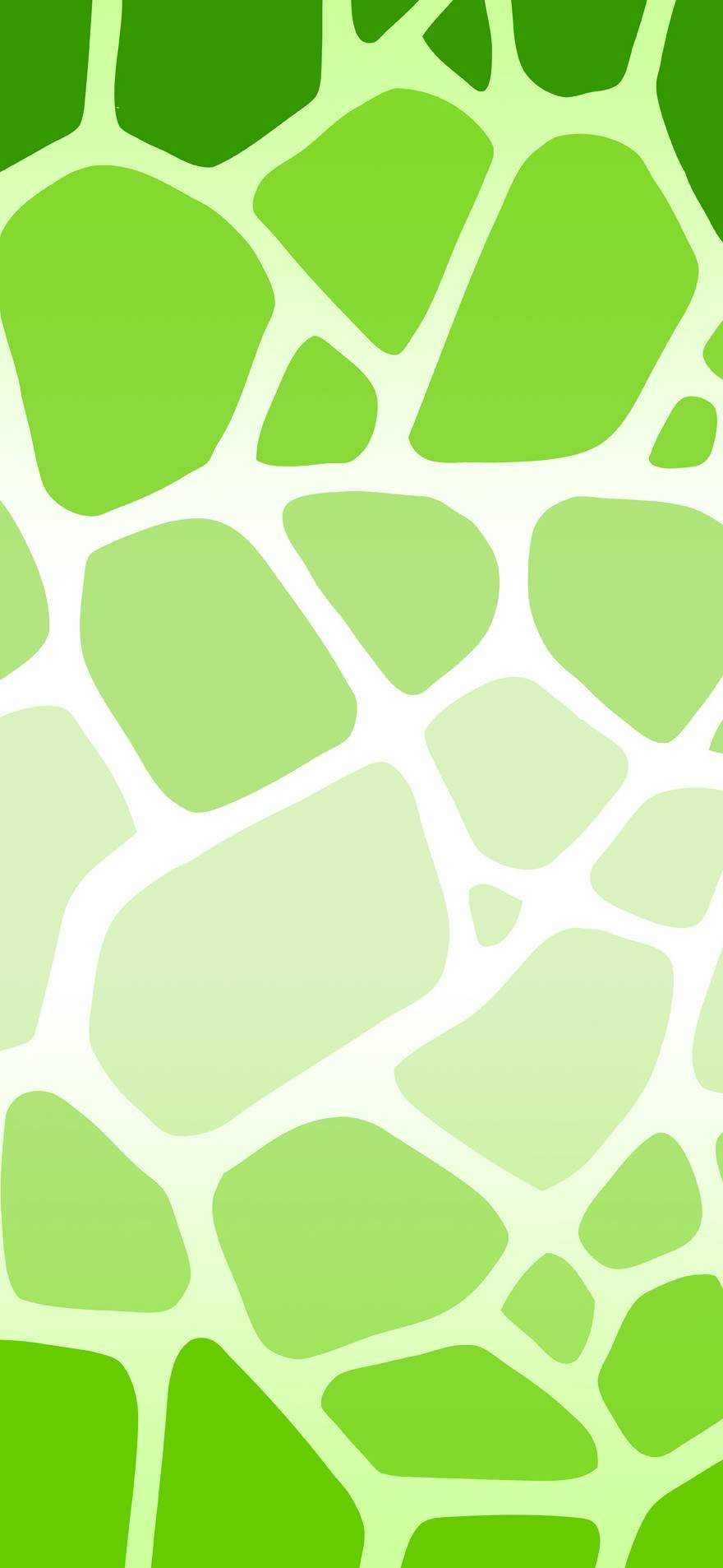 Green Phone Wallpapers